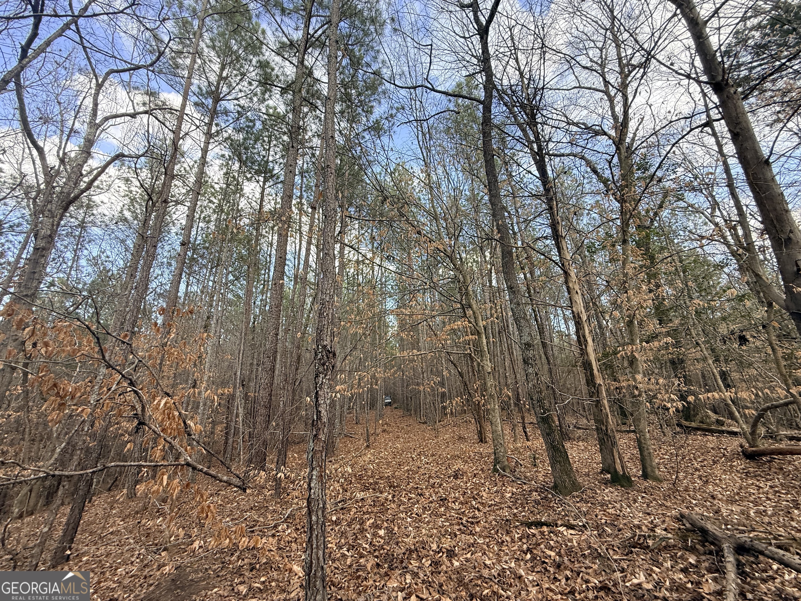 12 Cedar Creek Extension
