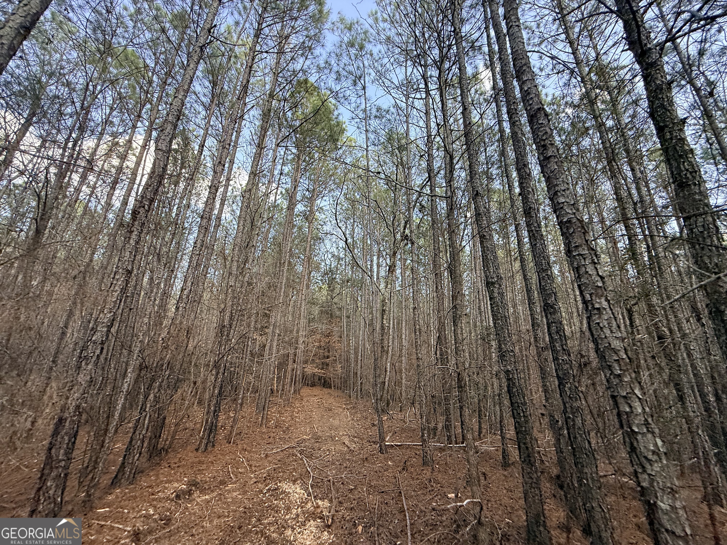 12 Cedar Creek Extension