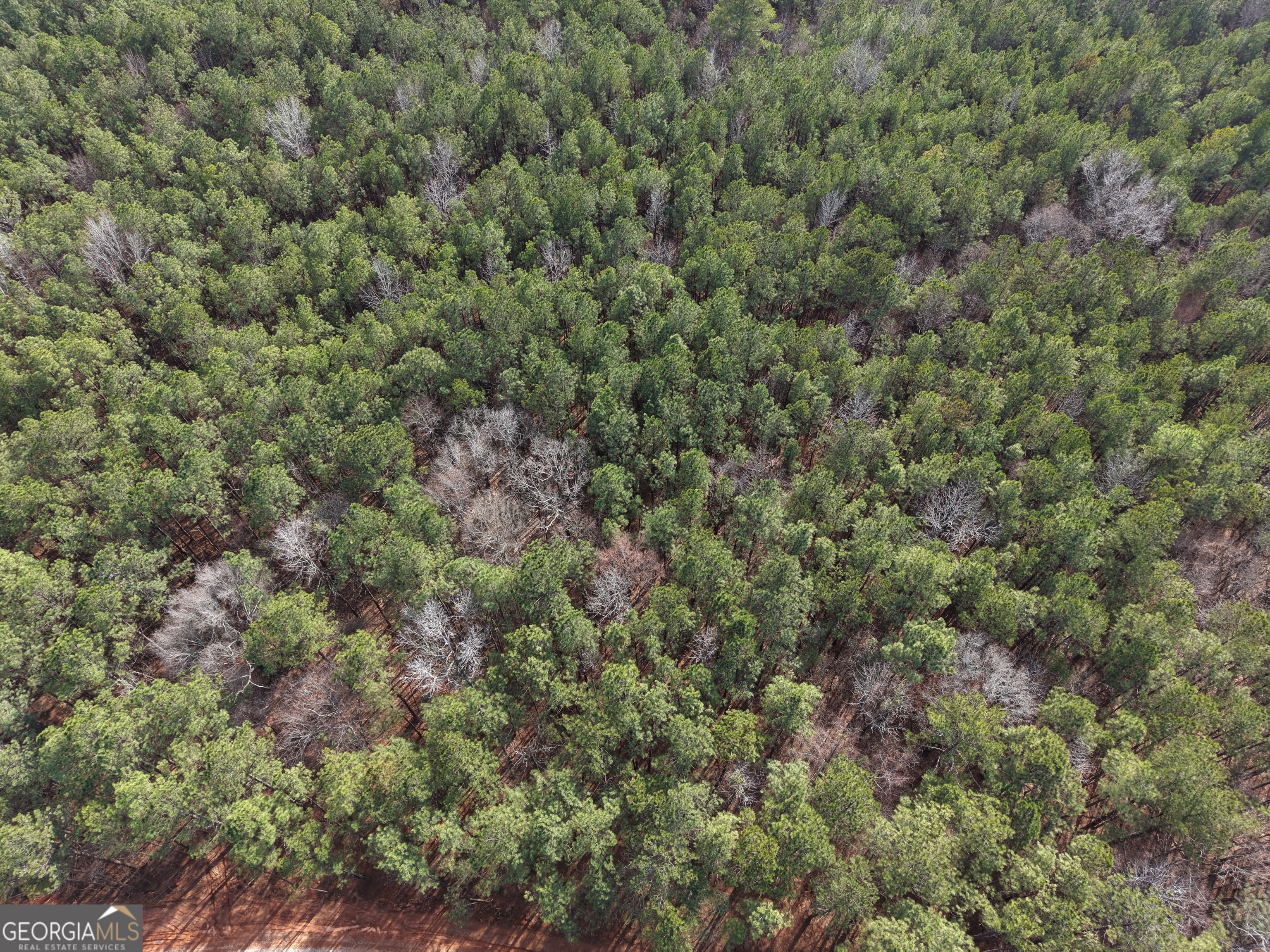 12 Cedar Creek Extension