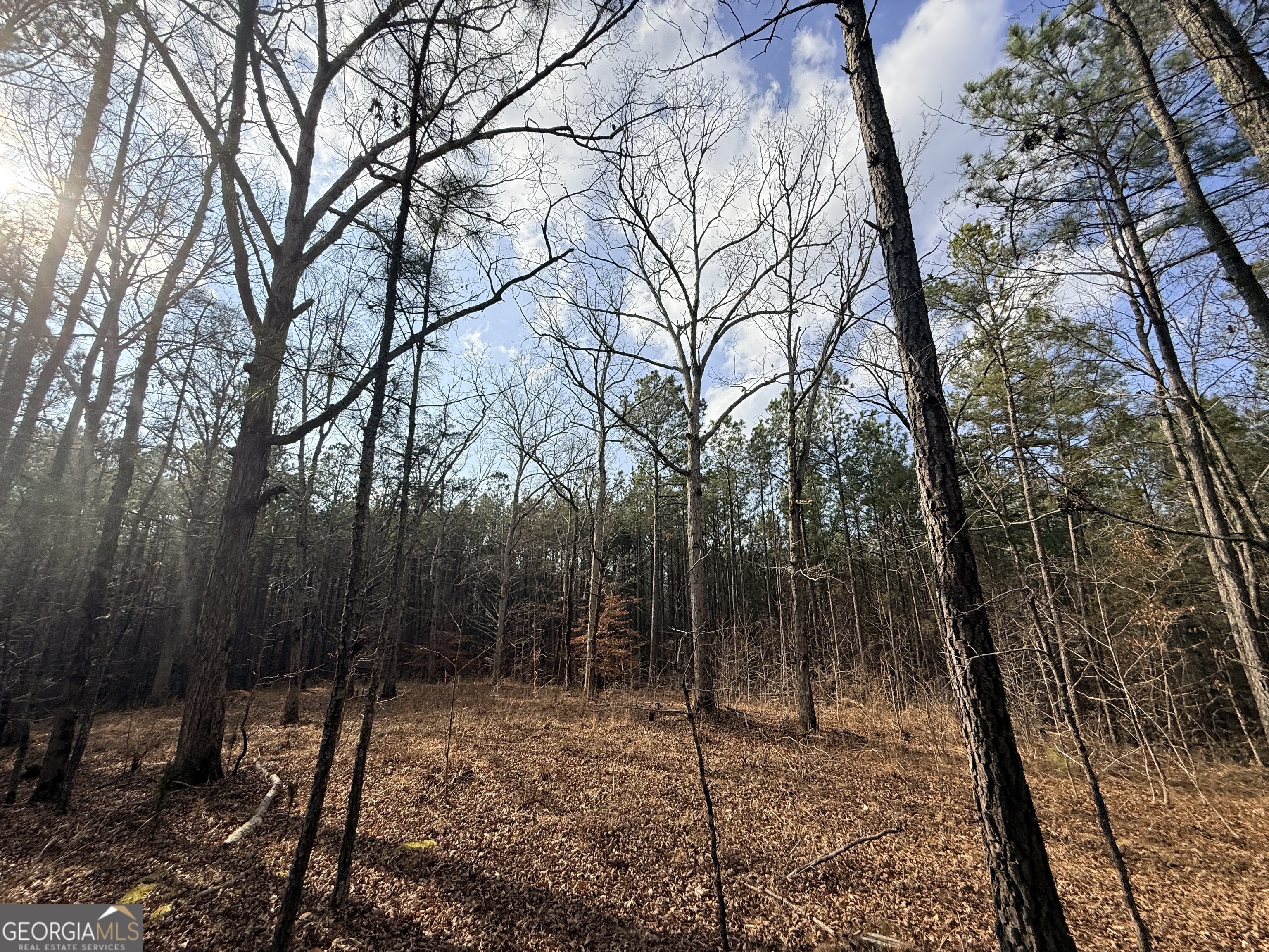 12 Cedar Creek Extension