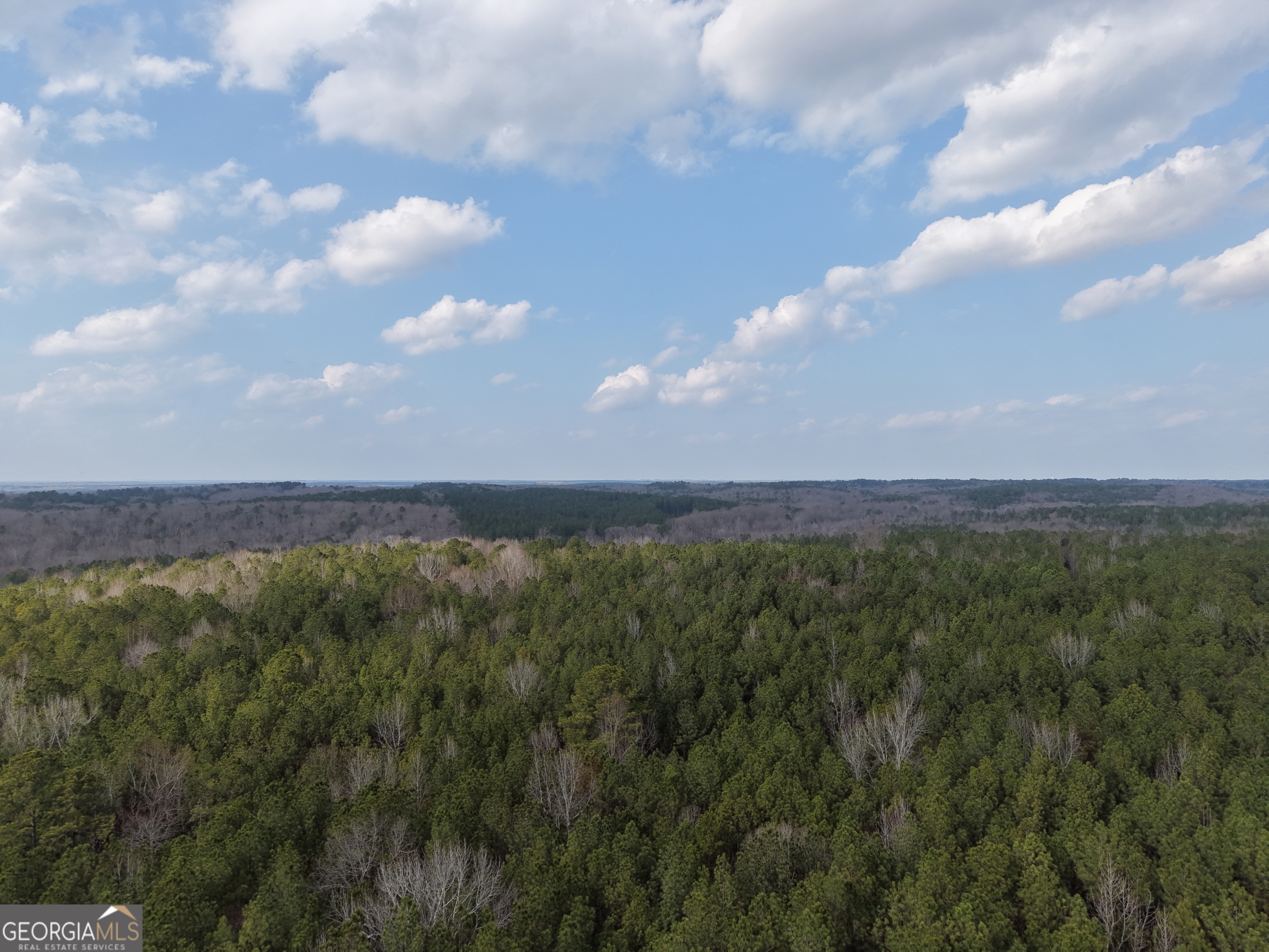 12 Cedar Creek Extension
