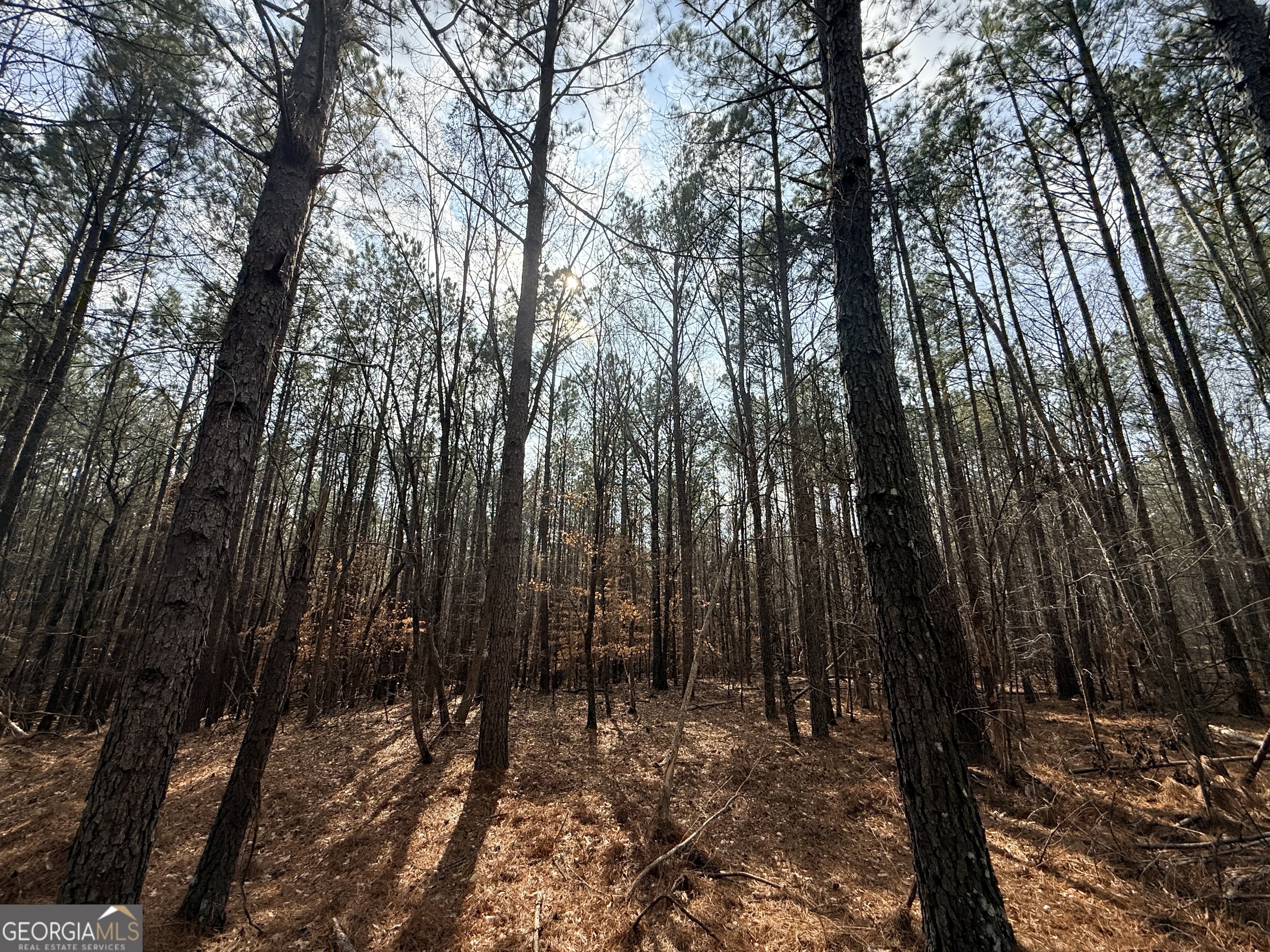 12 Cedar Creek Extension