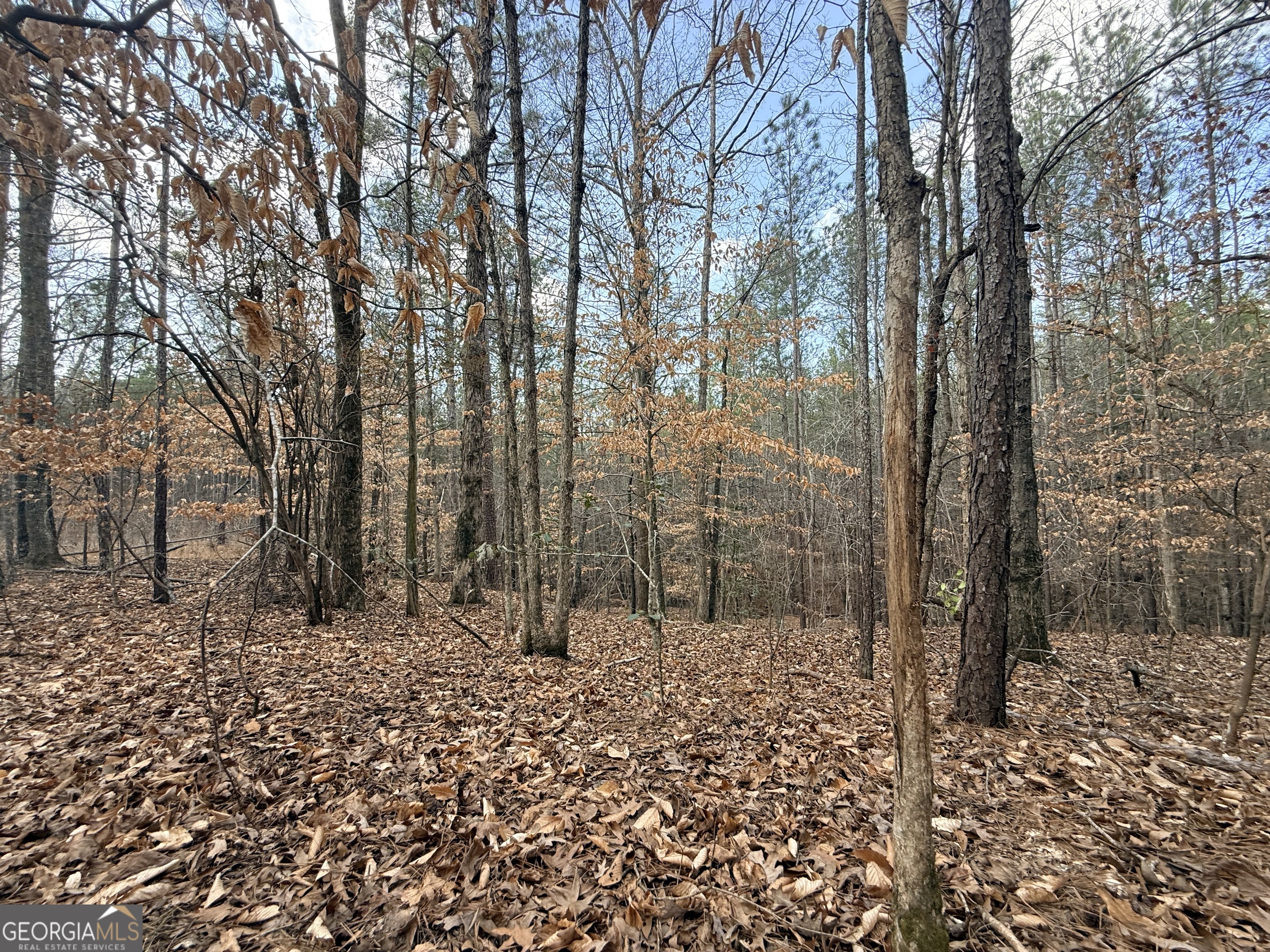 12 Cedar Creek Extension
