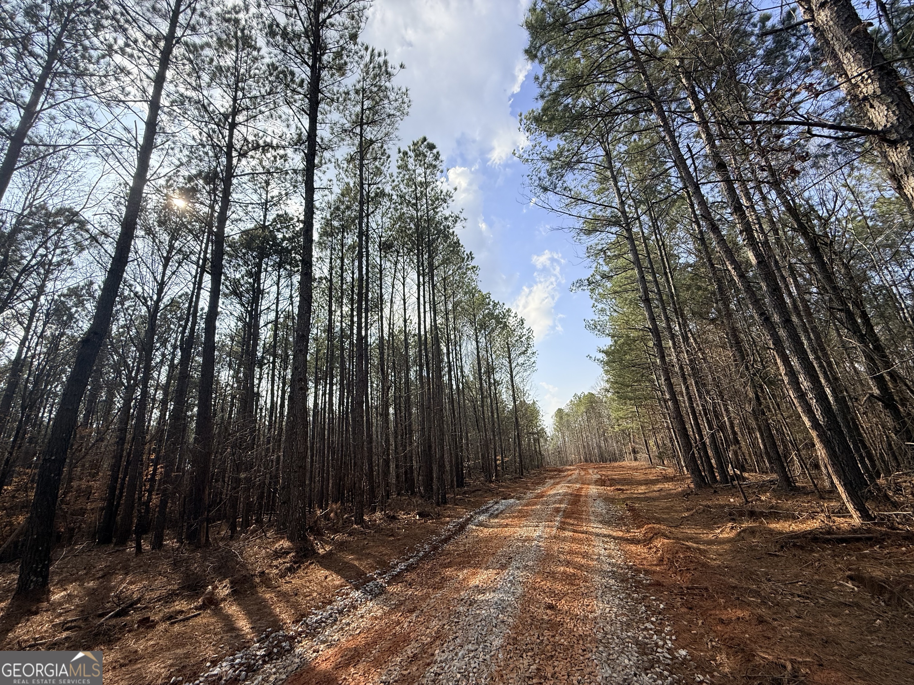12 Cedar Creek Extension