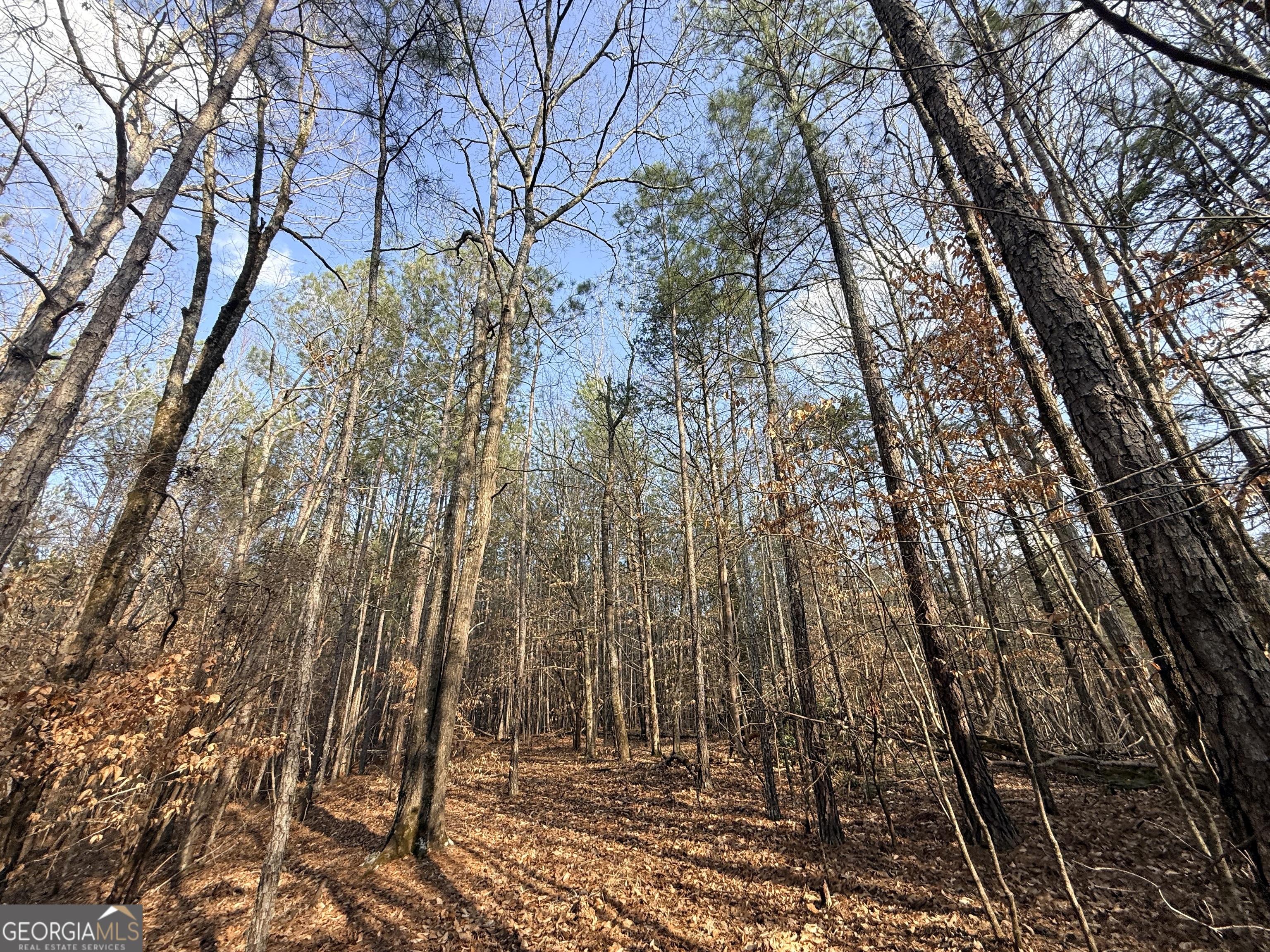 12 Cedar Creek Extension