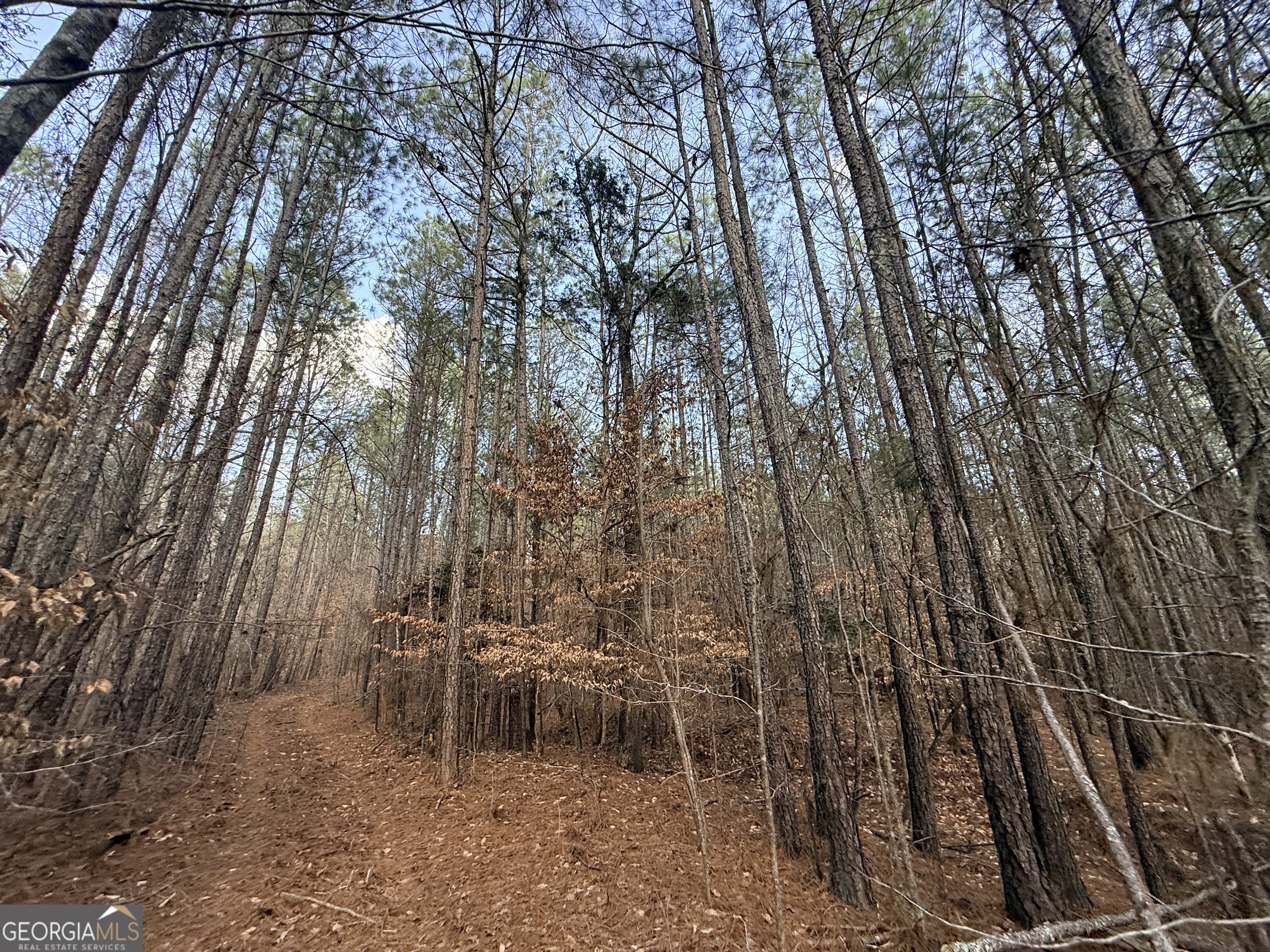 12 Cedar Creek Extension
