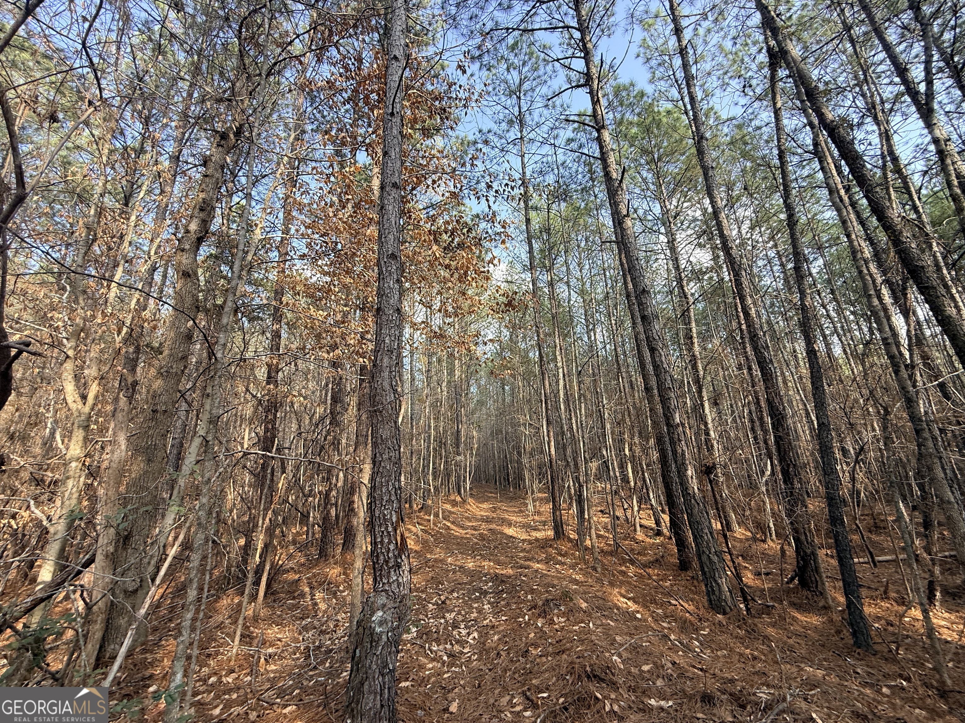 12 Cedar Creek Extension