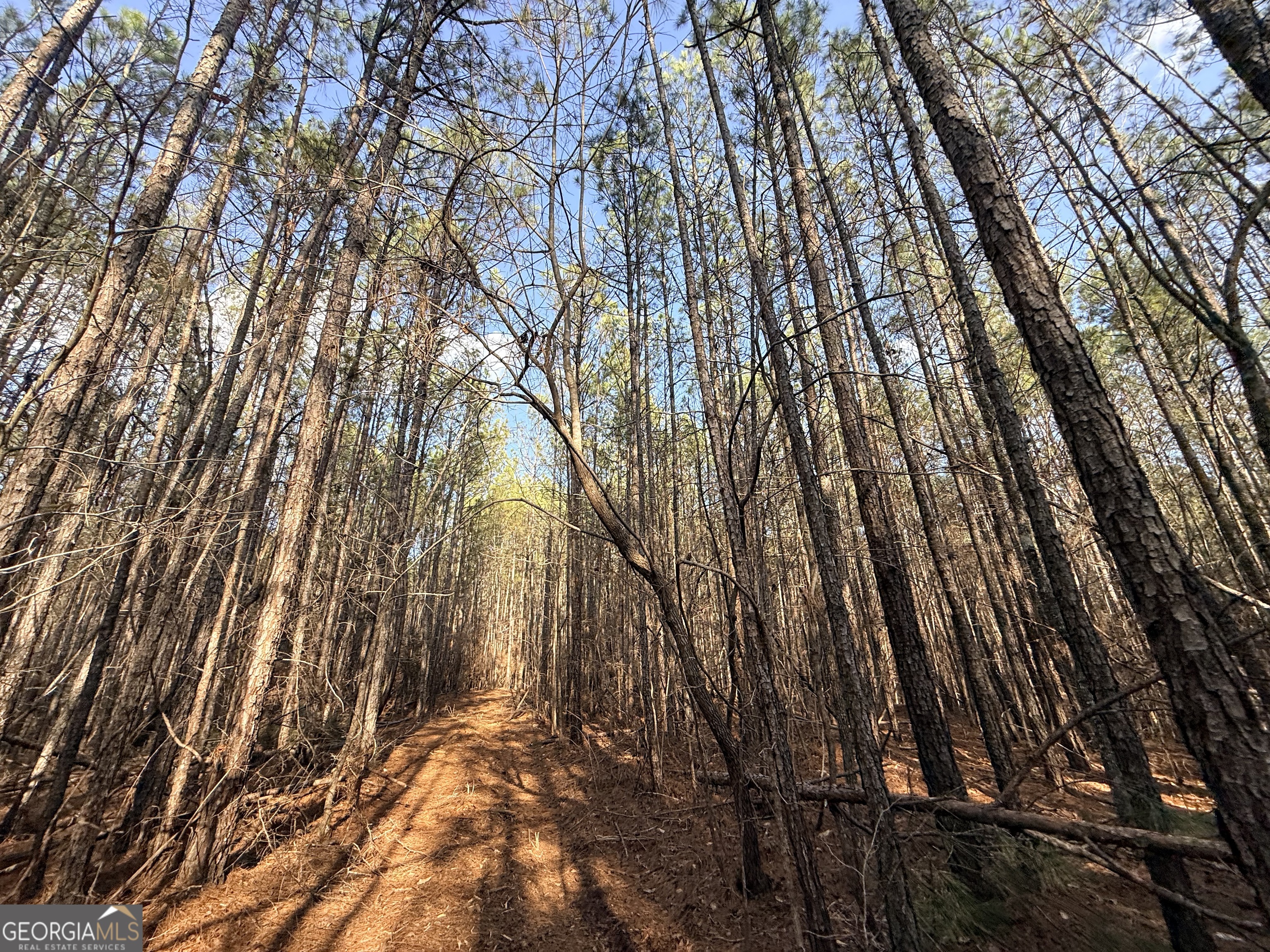 12 Cedar Creek Extension
