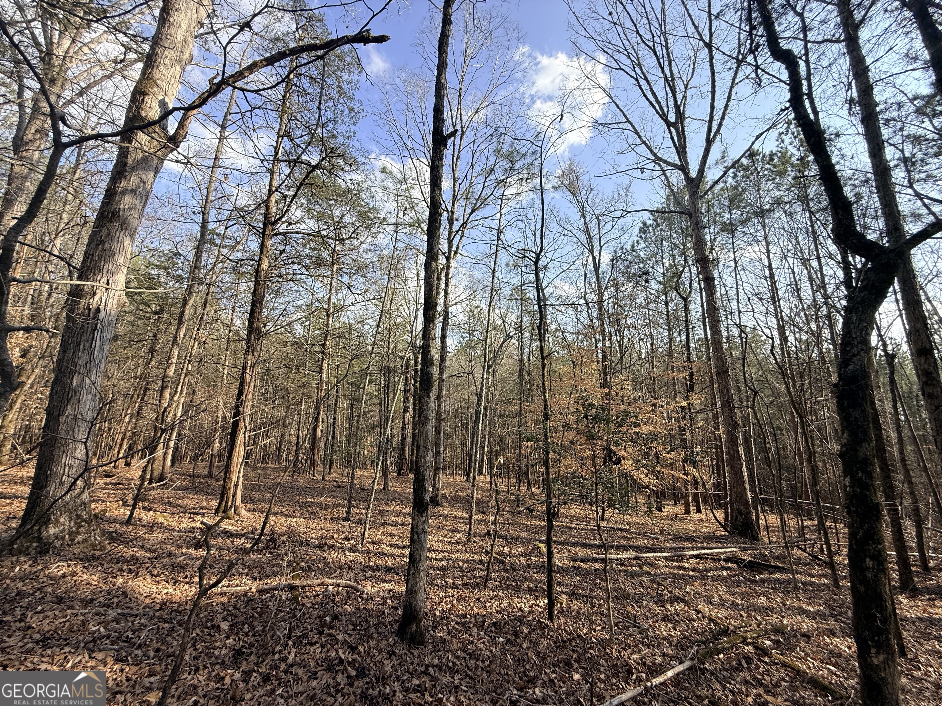 12 Cedar Creek Extension