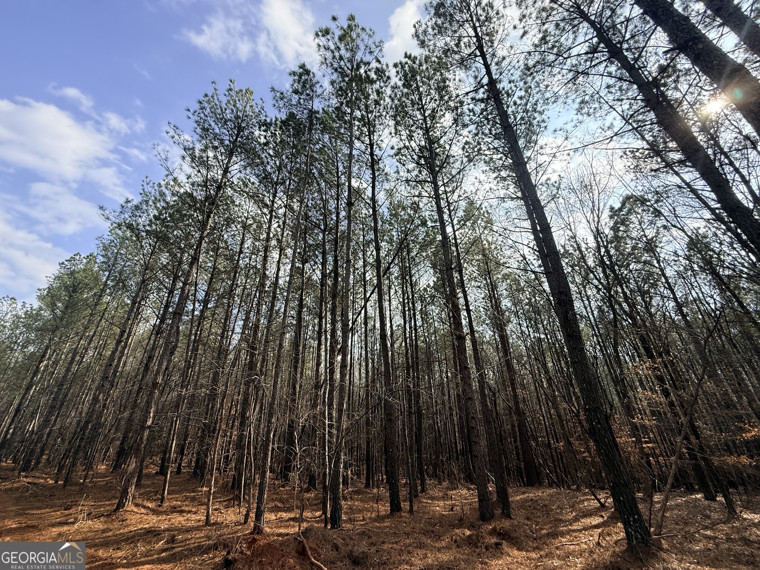 12 Cedar Creek Extension