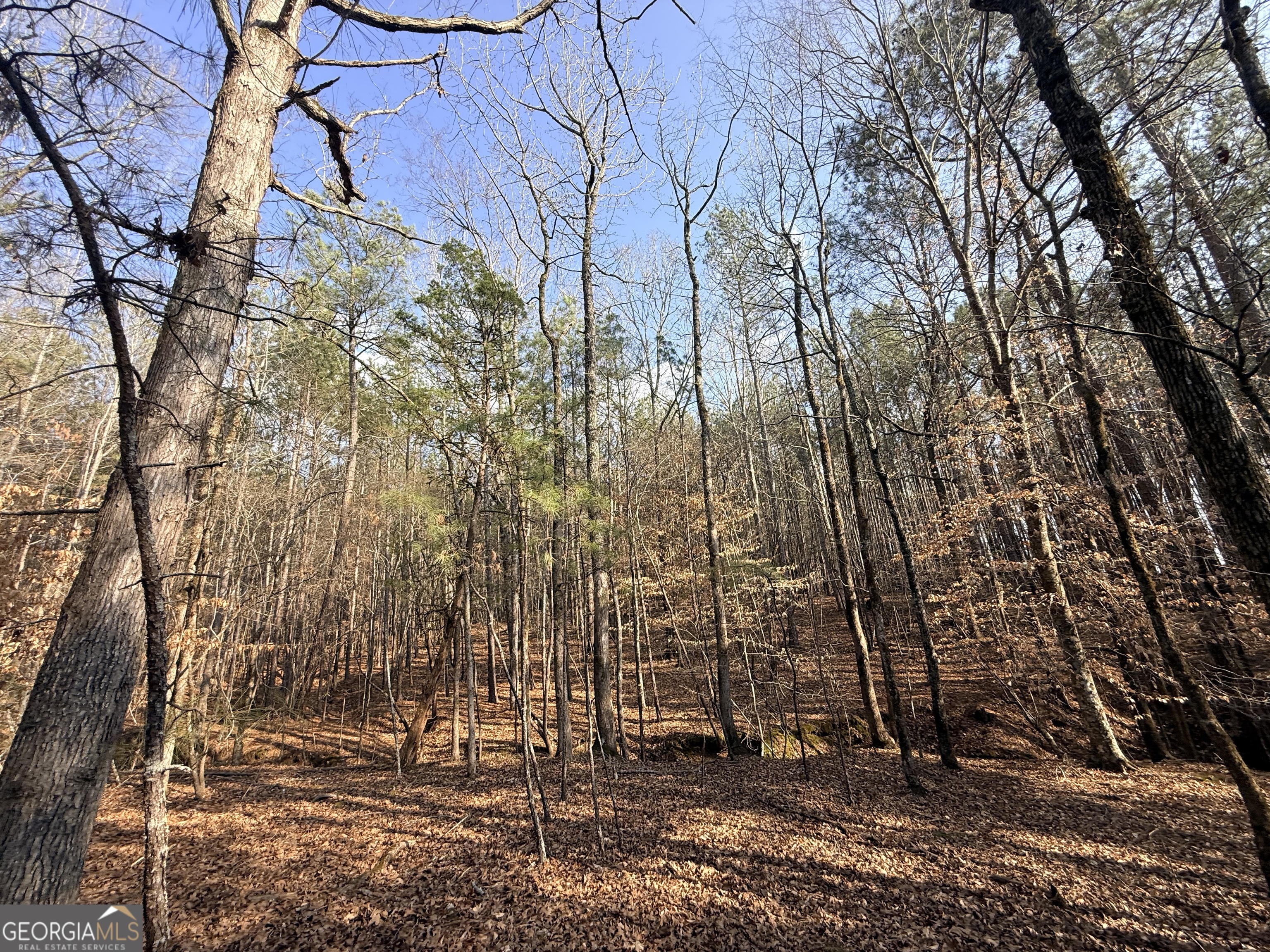 12 Cedar Creek Extension