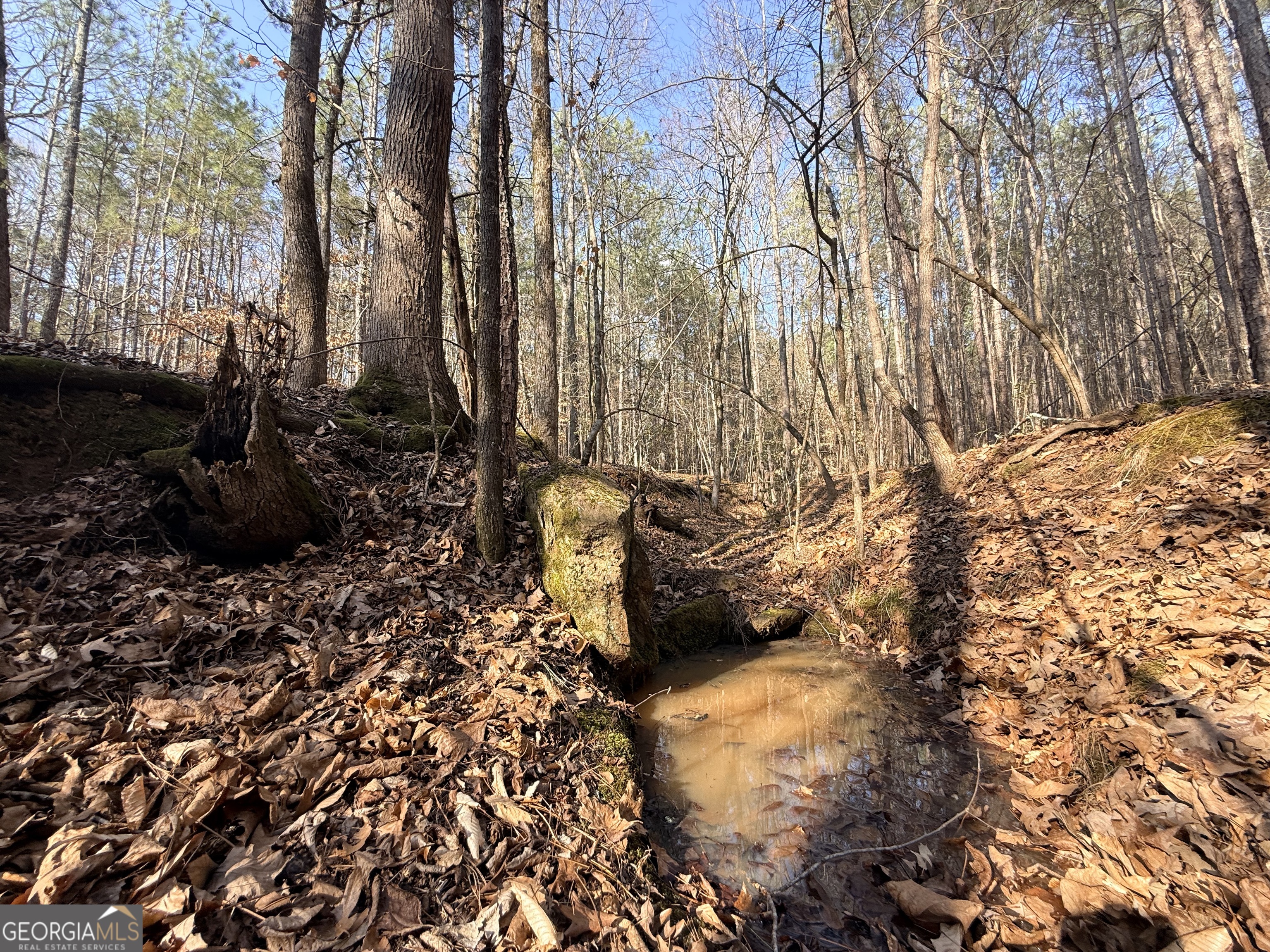 12 Cedar Creek Extension