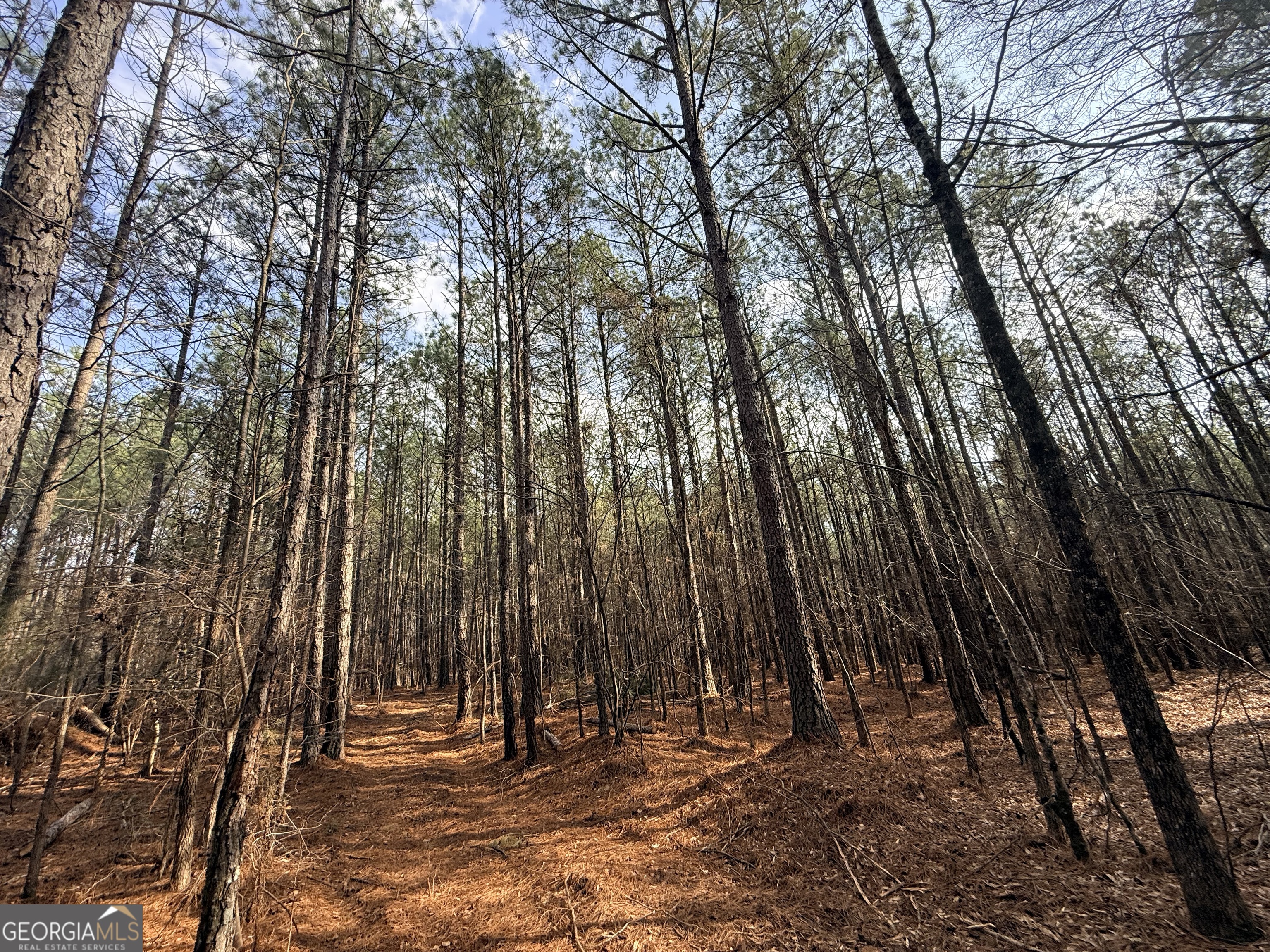12 Cedar Creek Extension