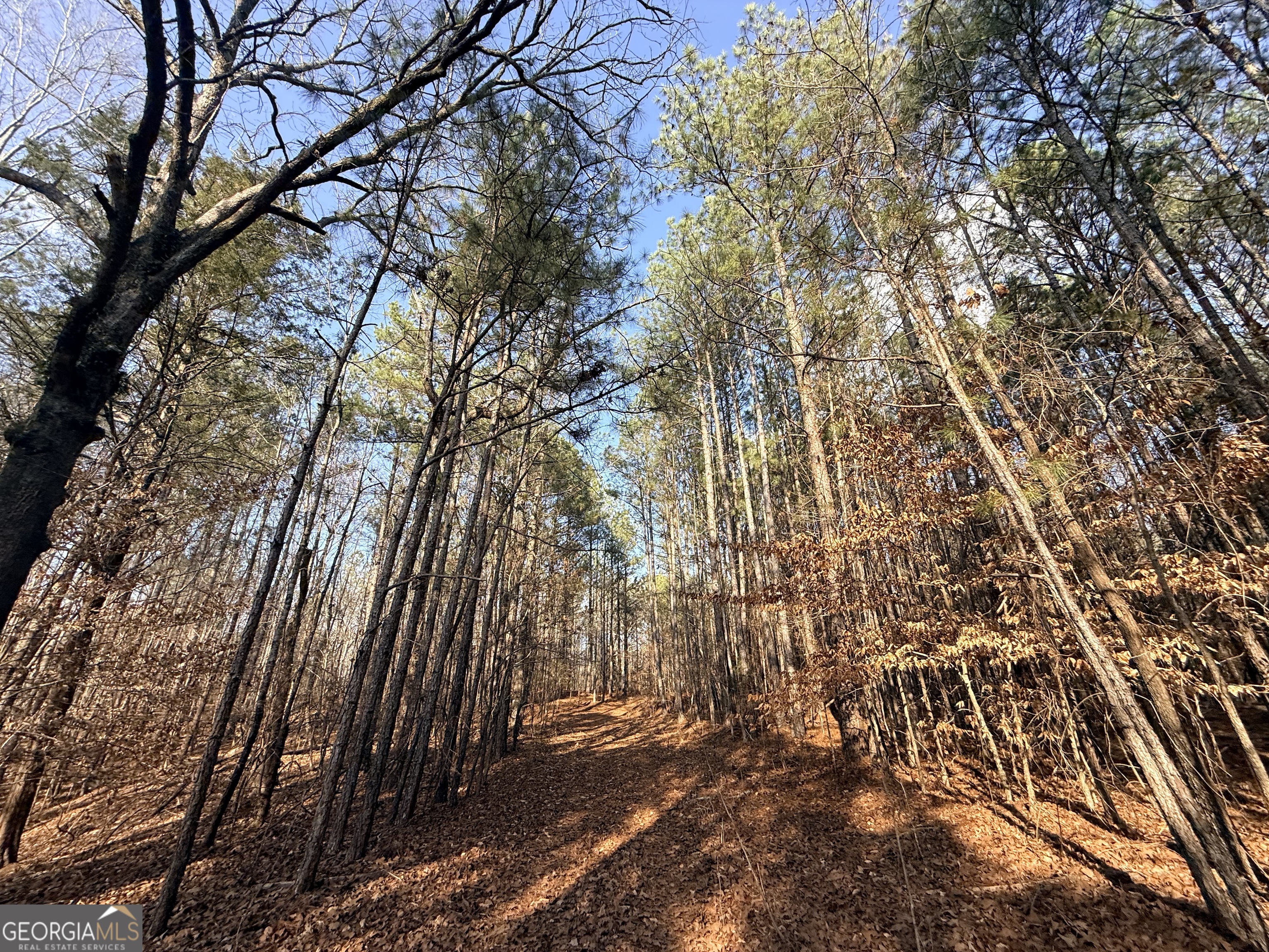 12 Cedar Creek Extension