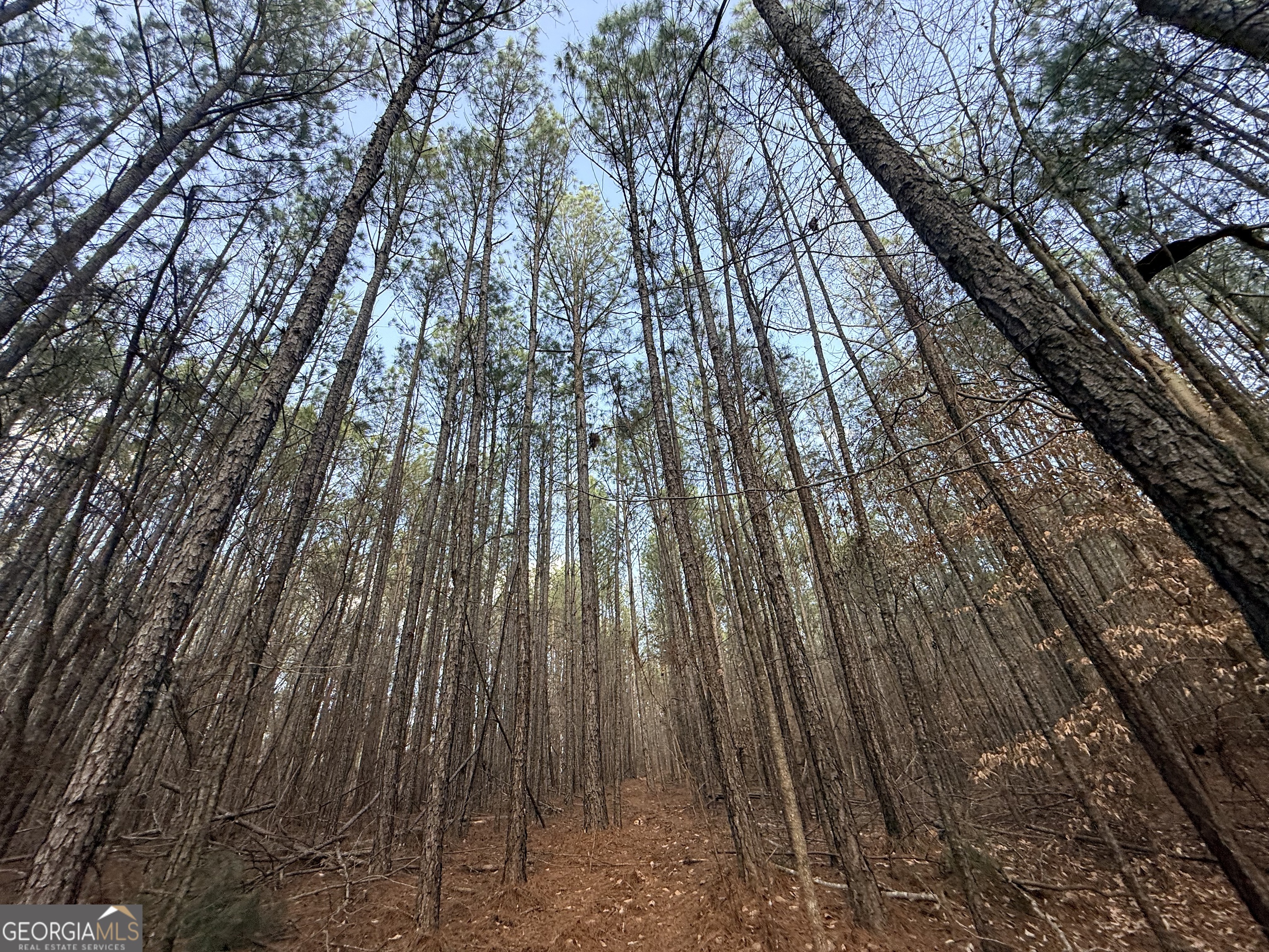 12 Cedar Creek Extension