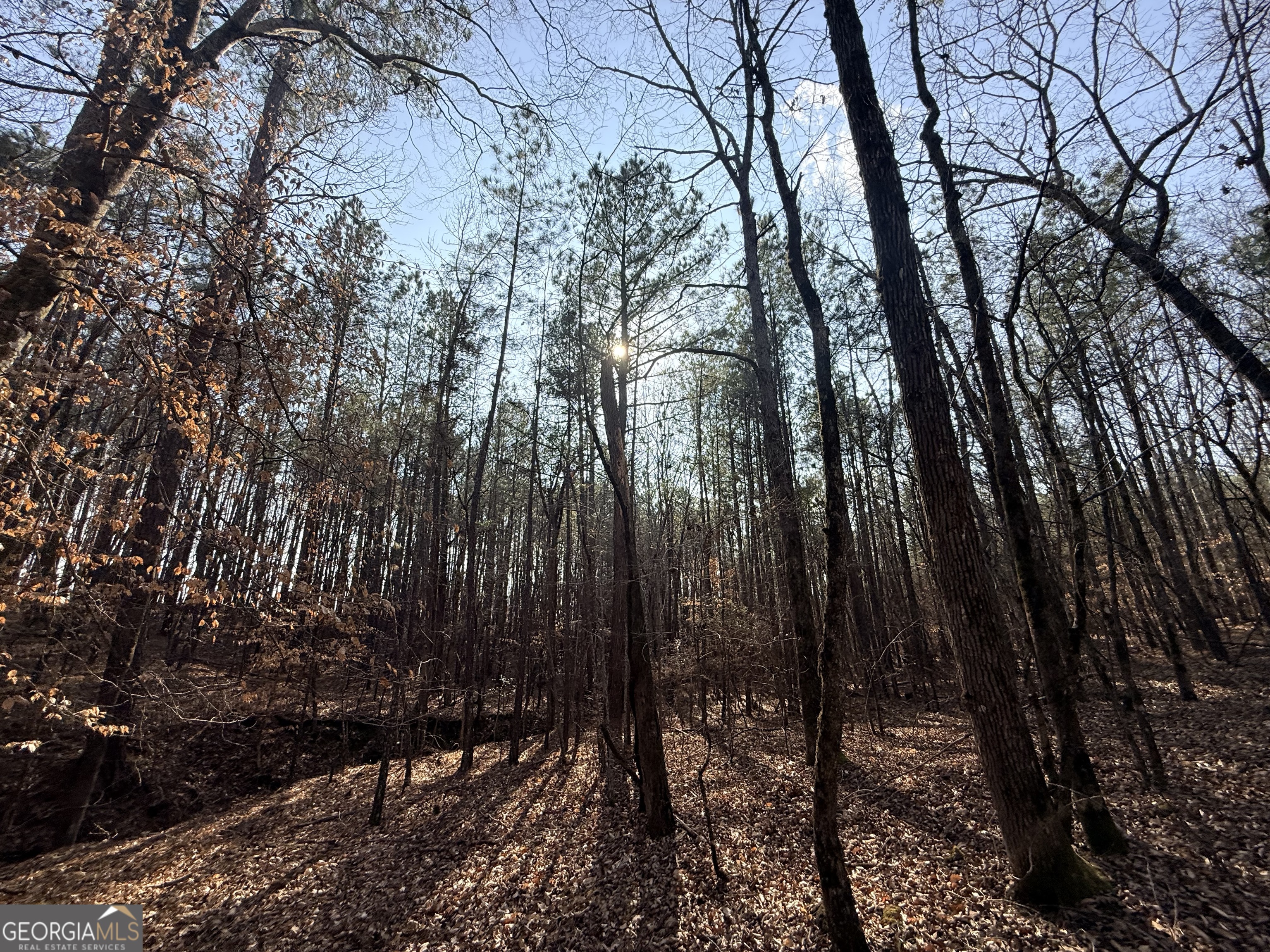 12 Cedar Creek Extension