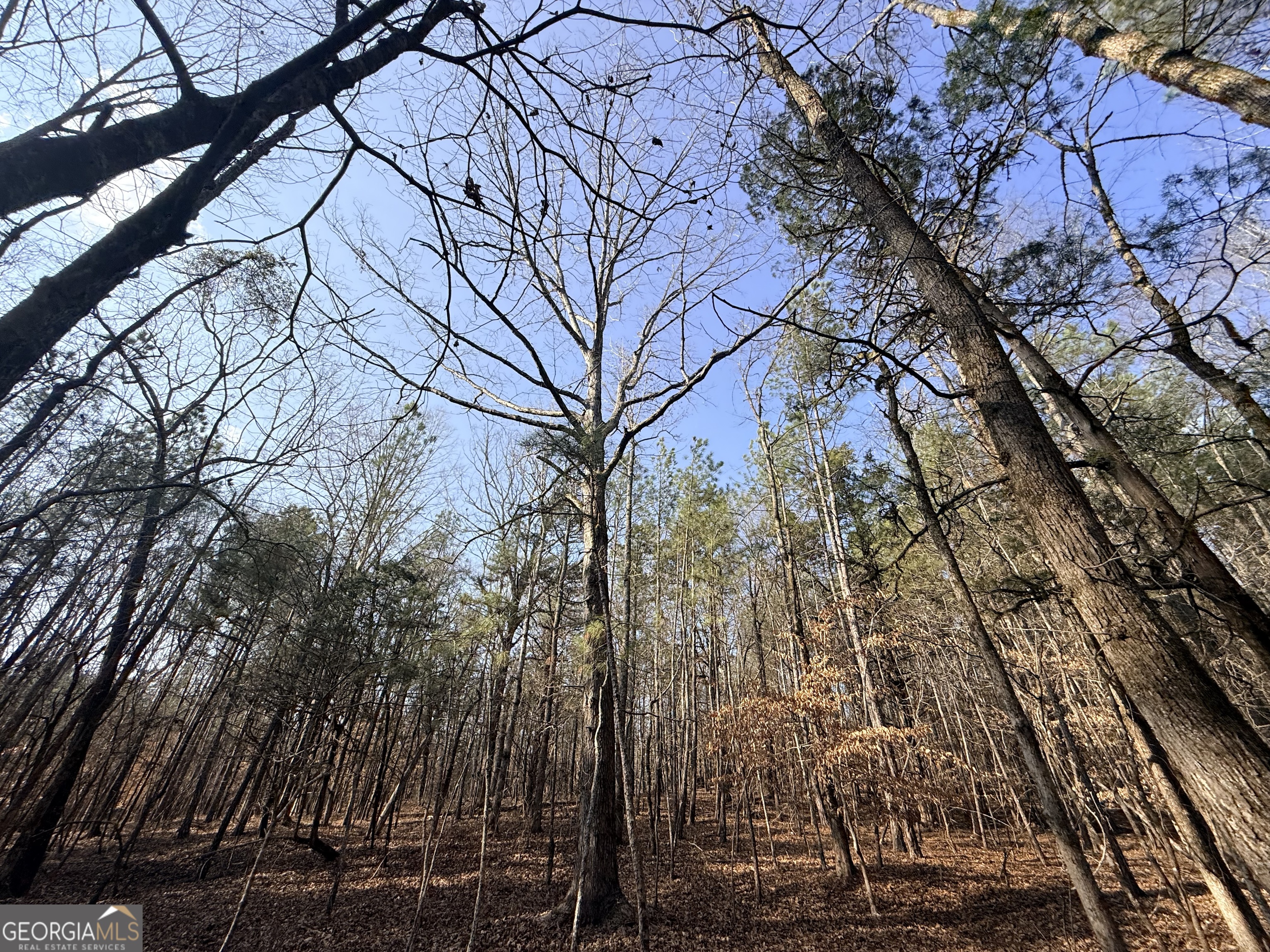 12 Cedar Creek Extension