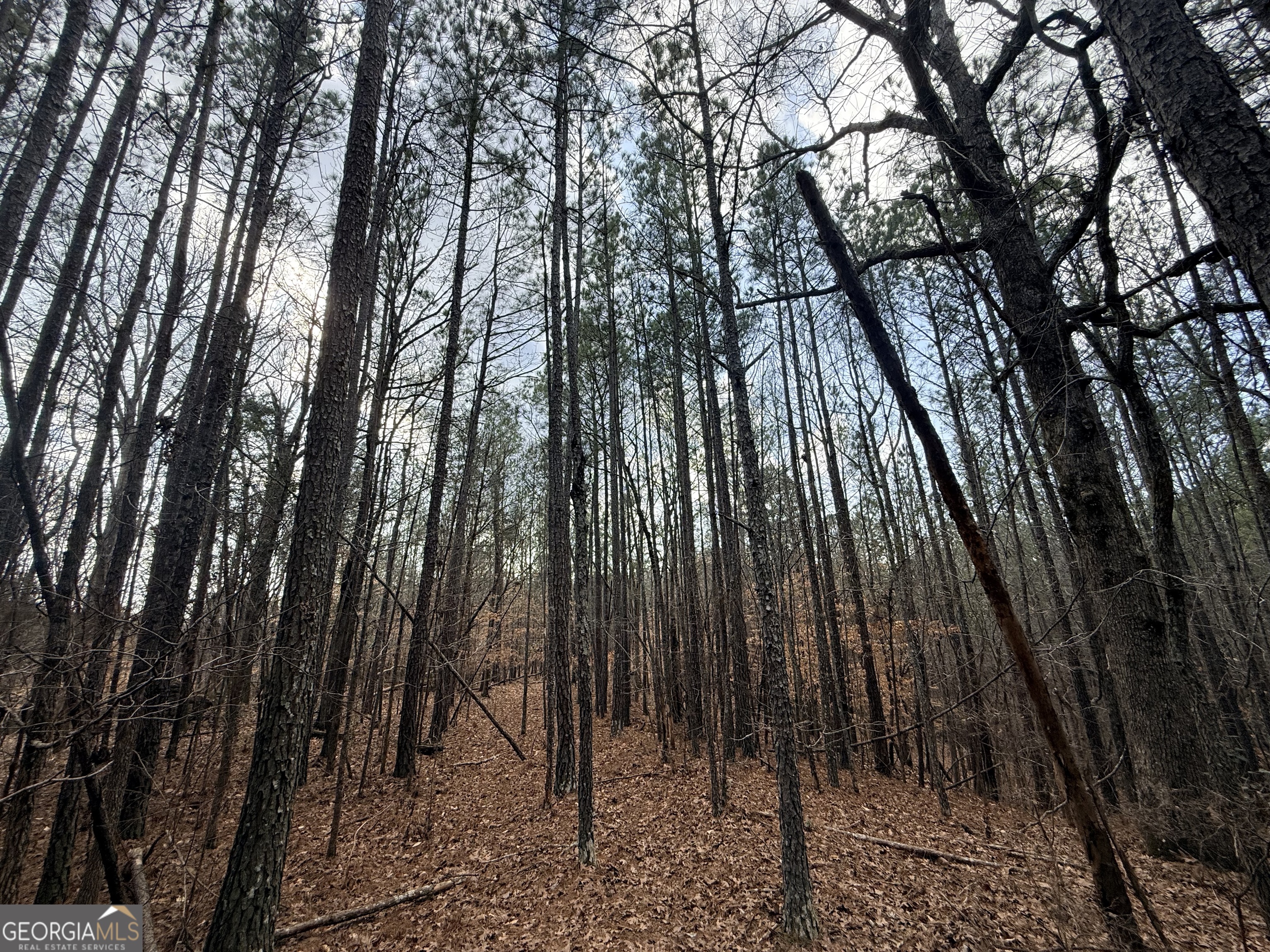 12 Cedar Creek Extension
