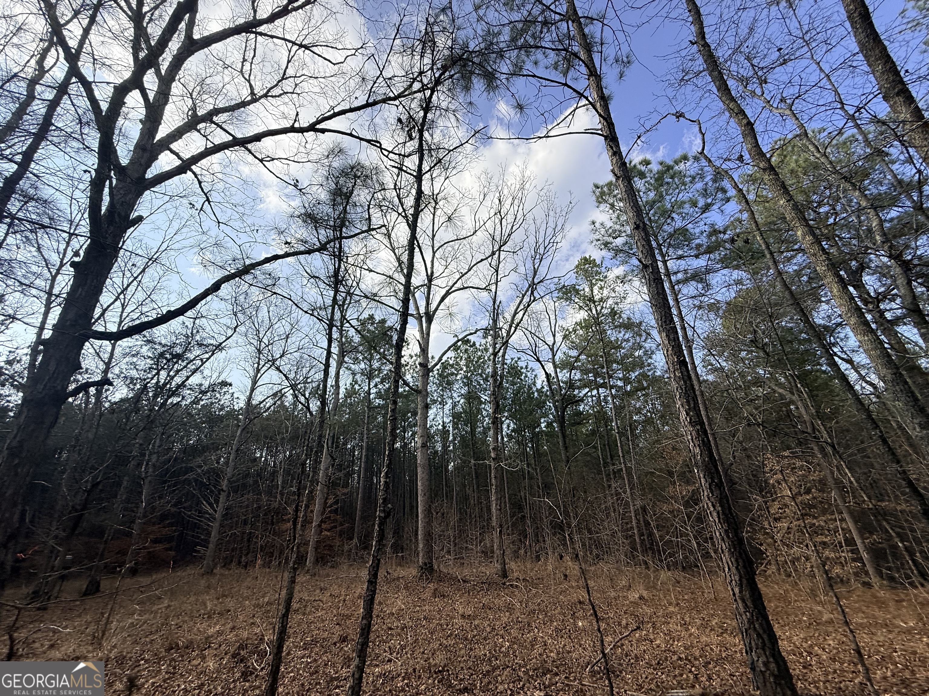 12 Cedar Creek Extension