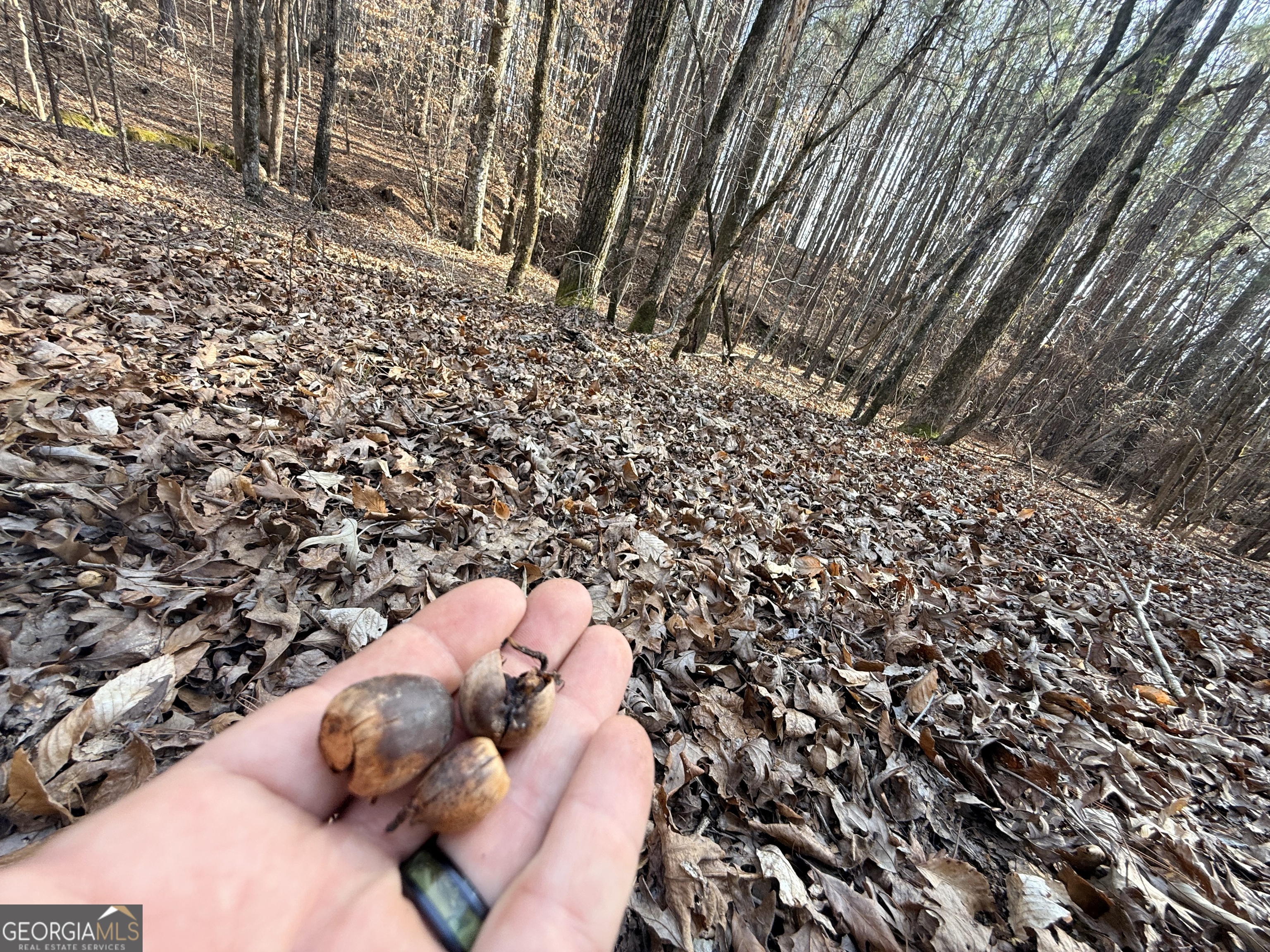 12 Cedar Creek Extension