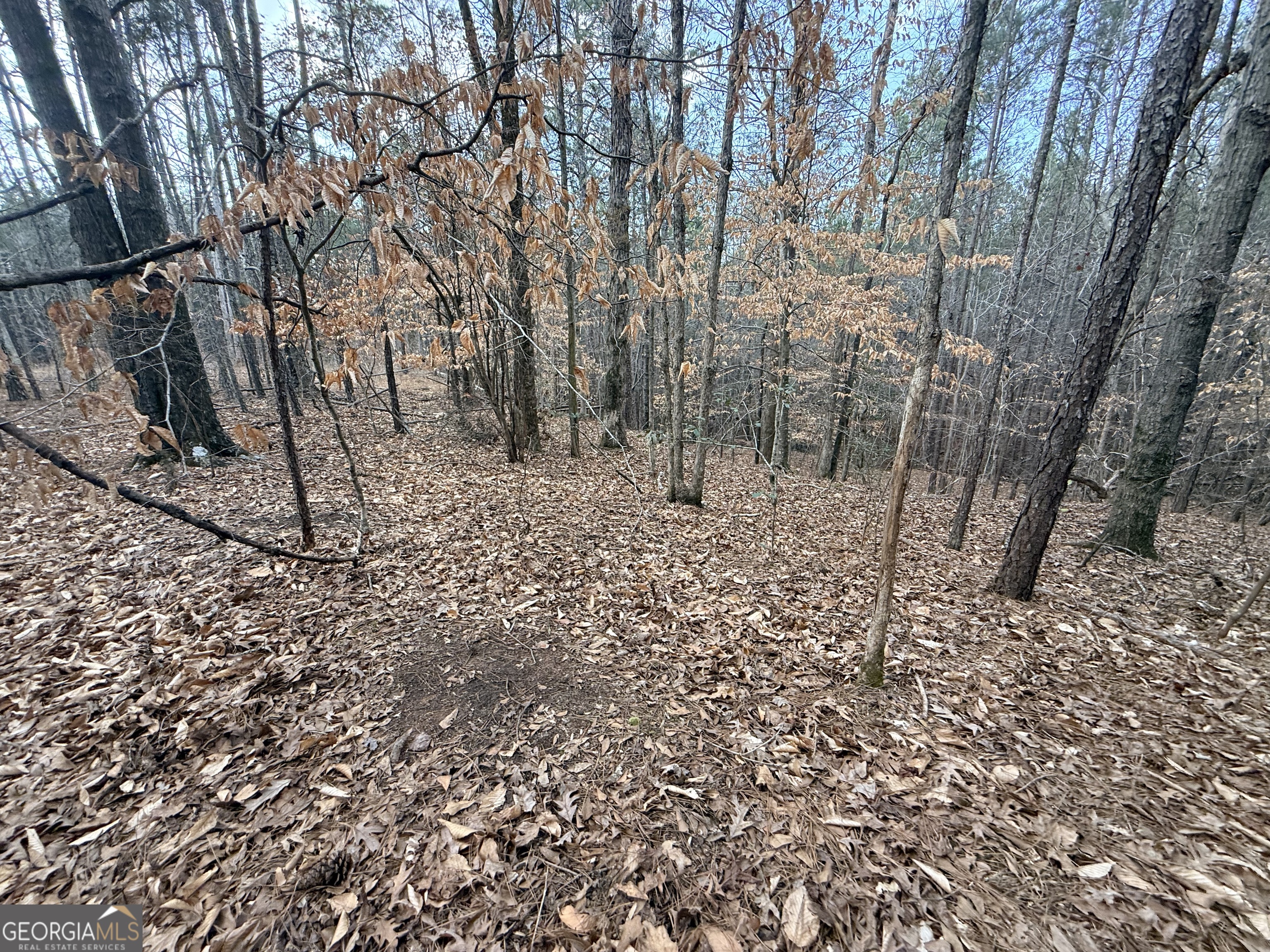 12 Cedar Creek Extension