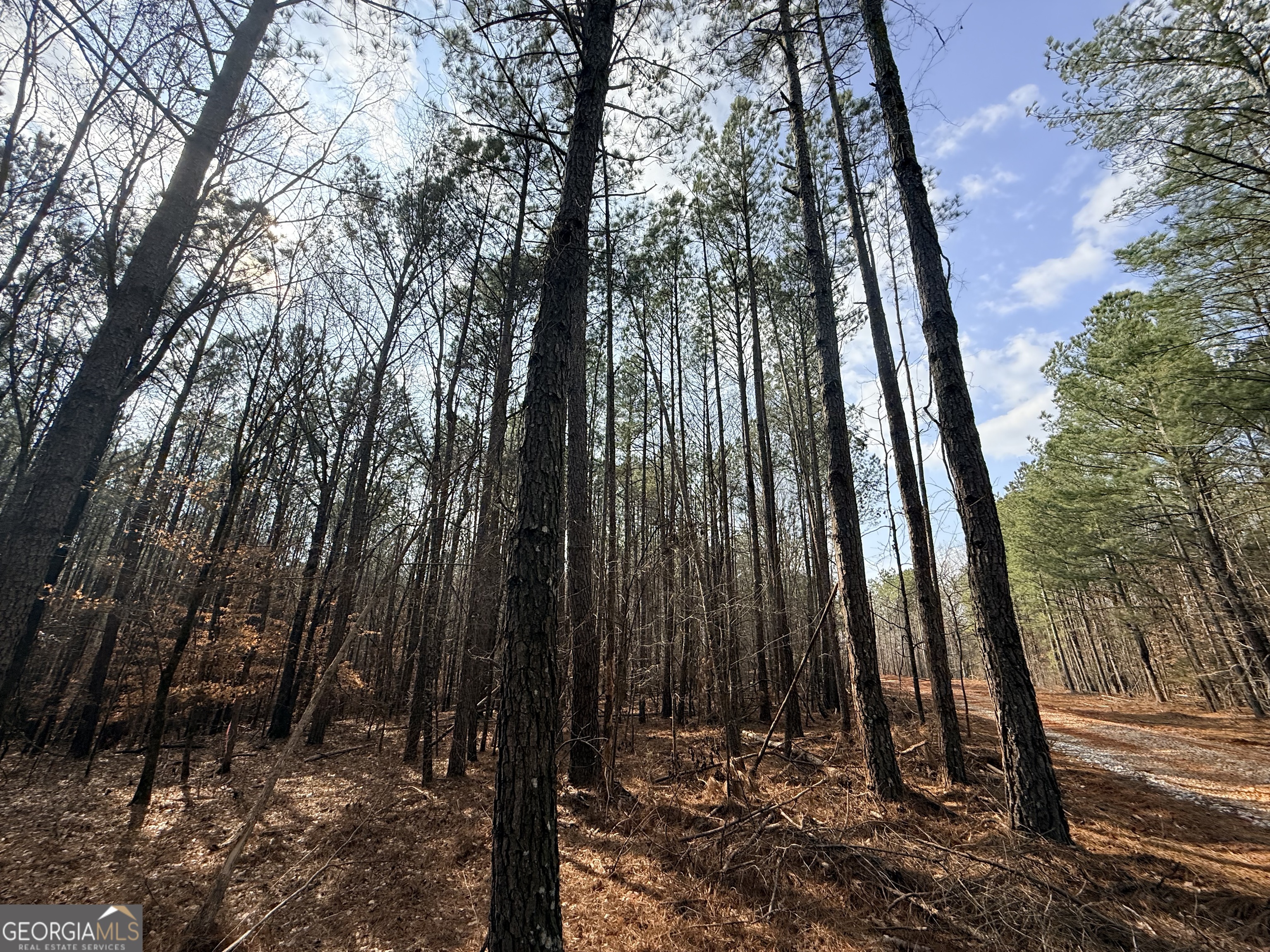 12 Cedar Creek Extension