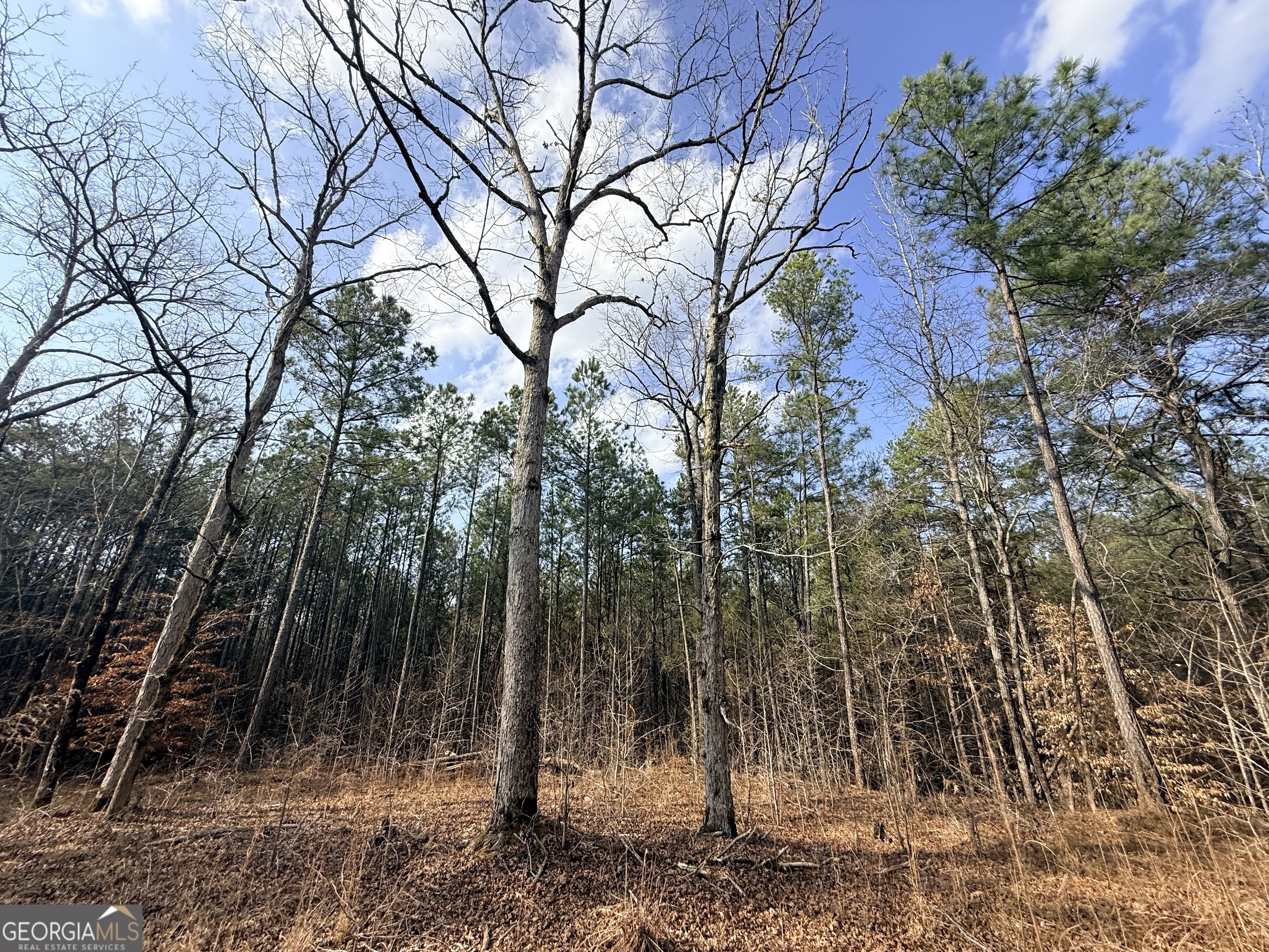 12 Cedar Creek Extension
