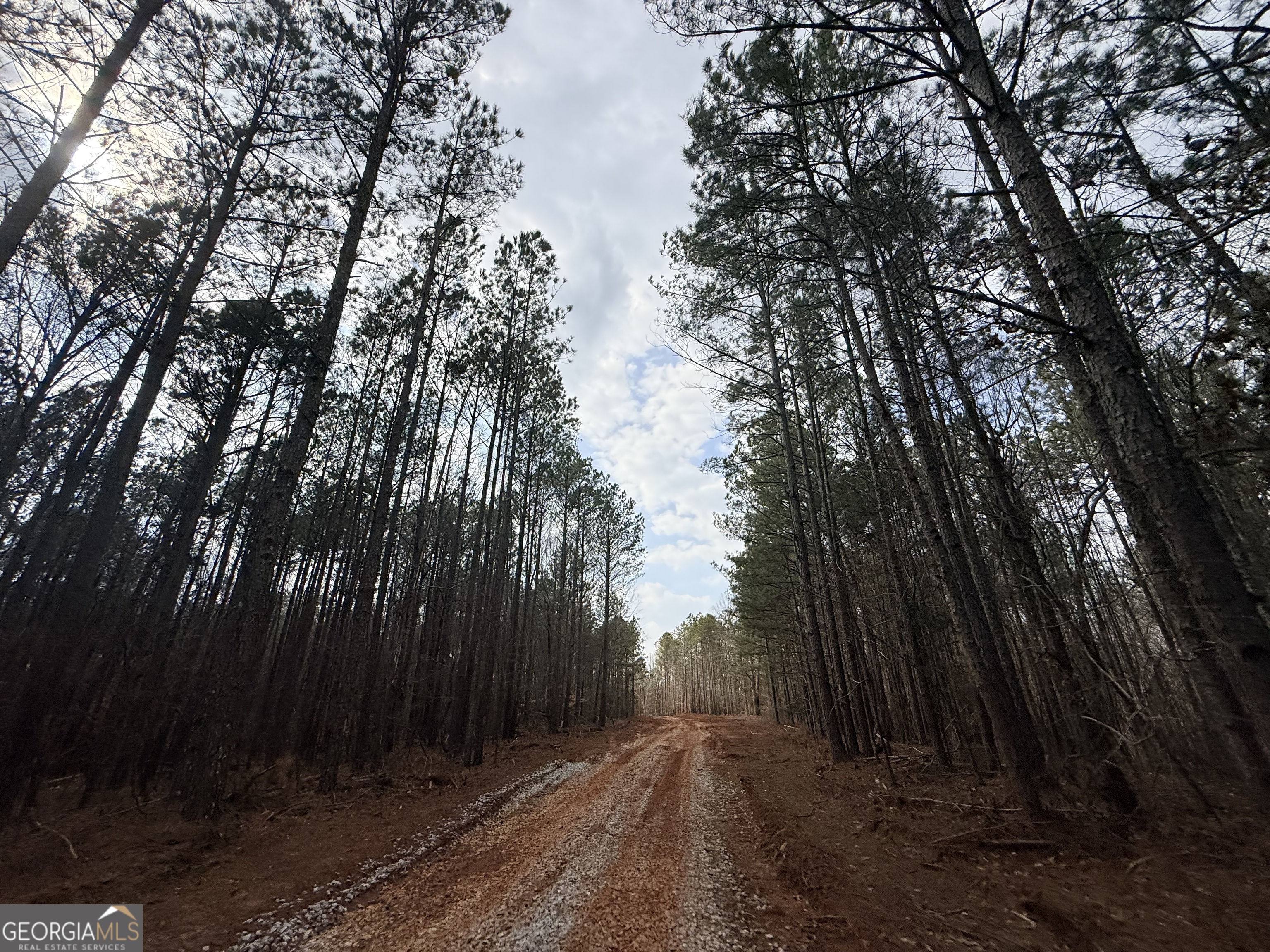 12 Cedar Creek Extension