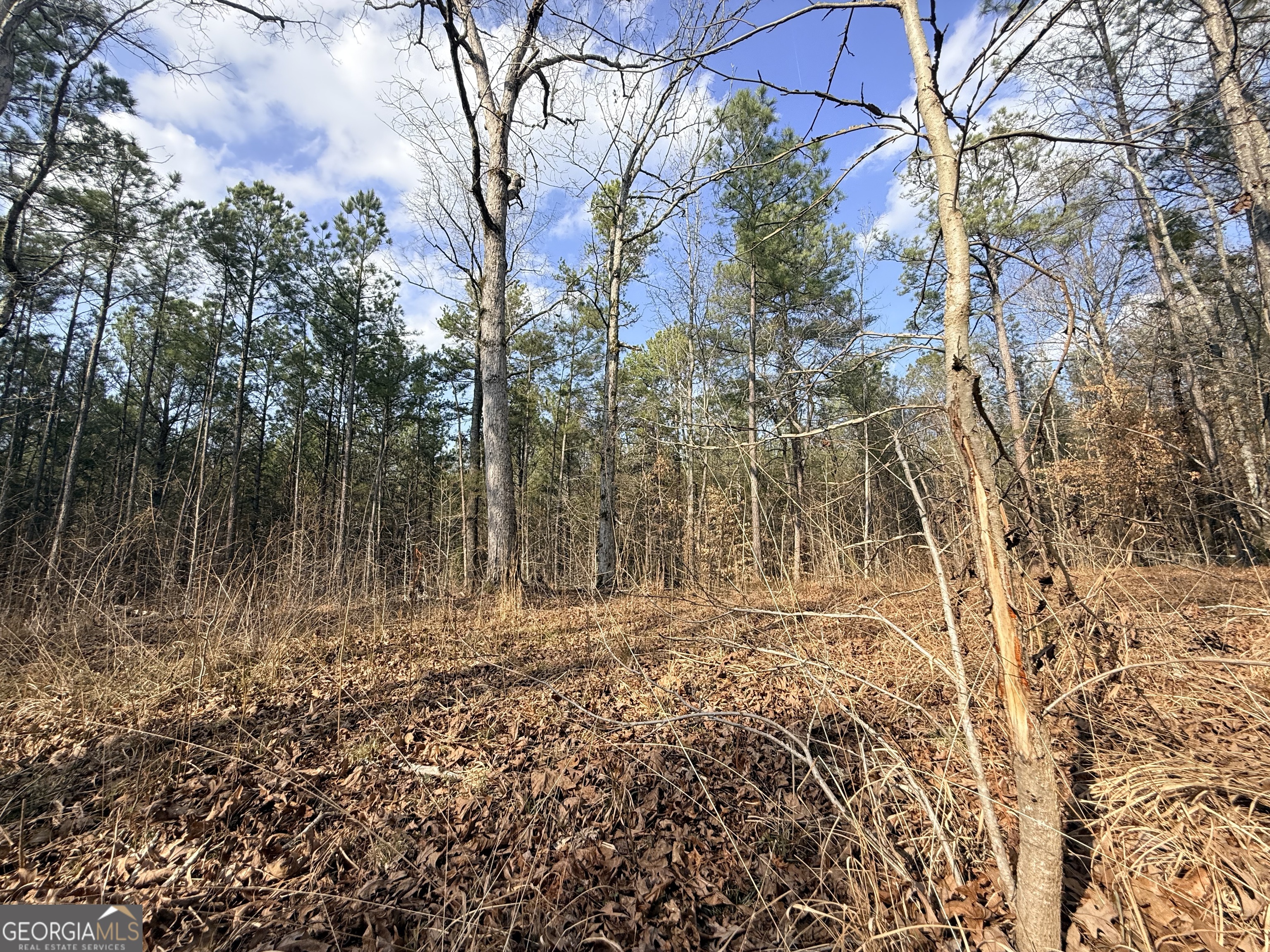 12 Cedar Creek Extension