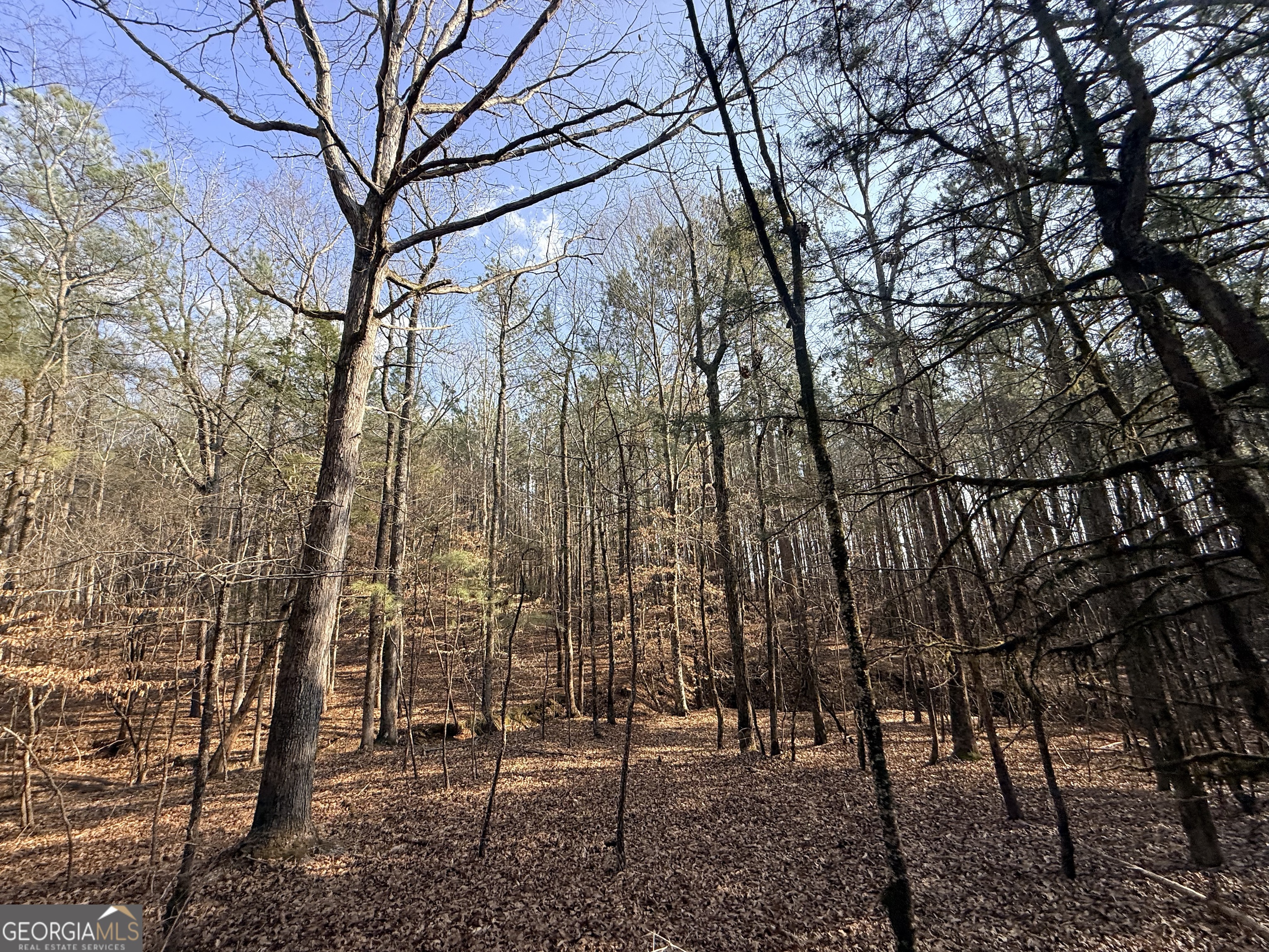 12 Cedar Creek Extension
