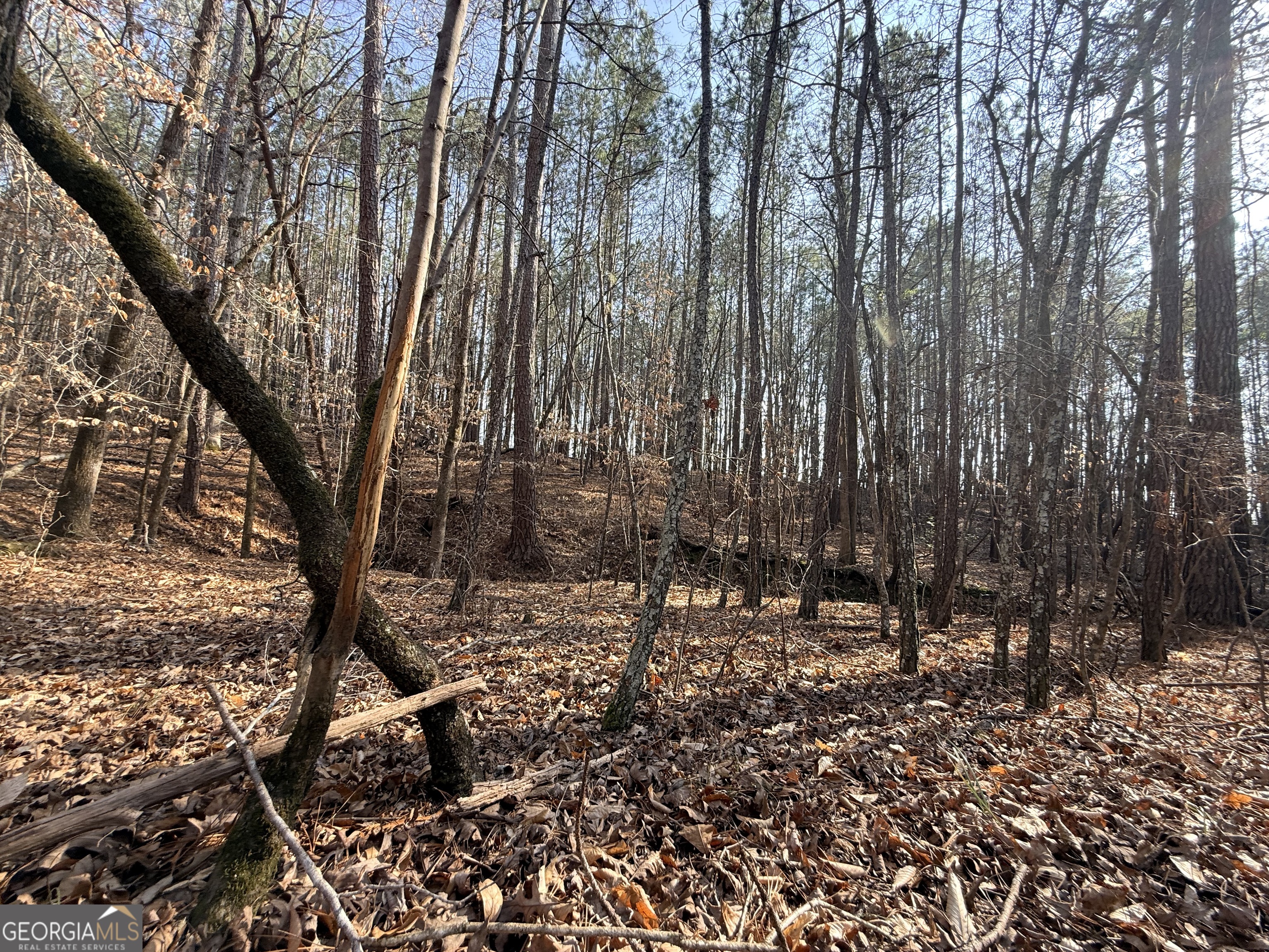 12 Cedar Creek Extension