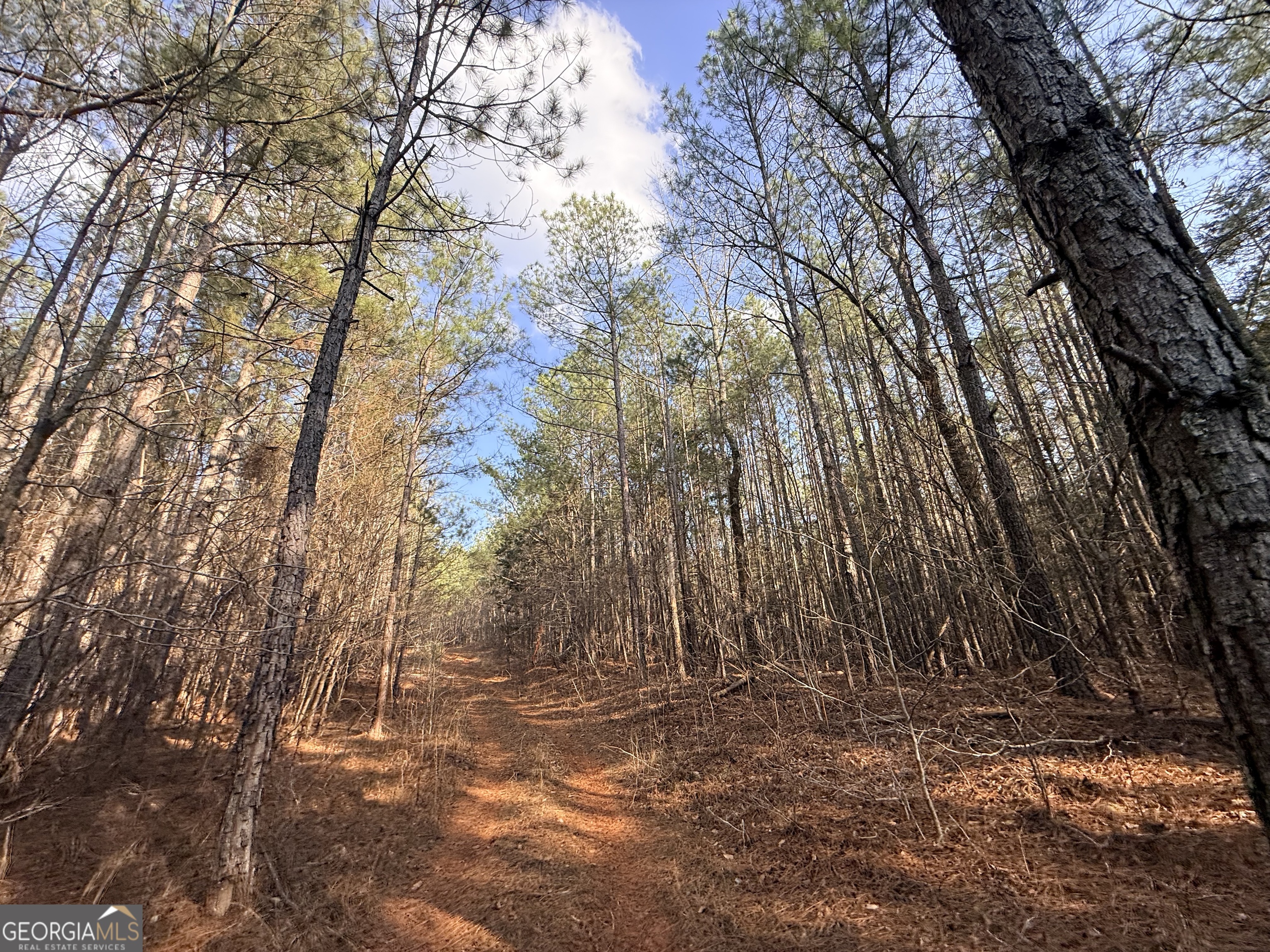 12 Cedar Creek Extension