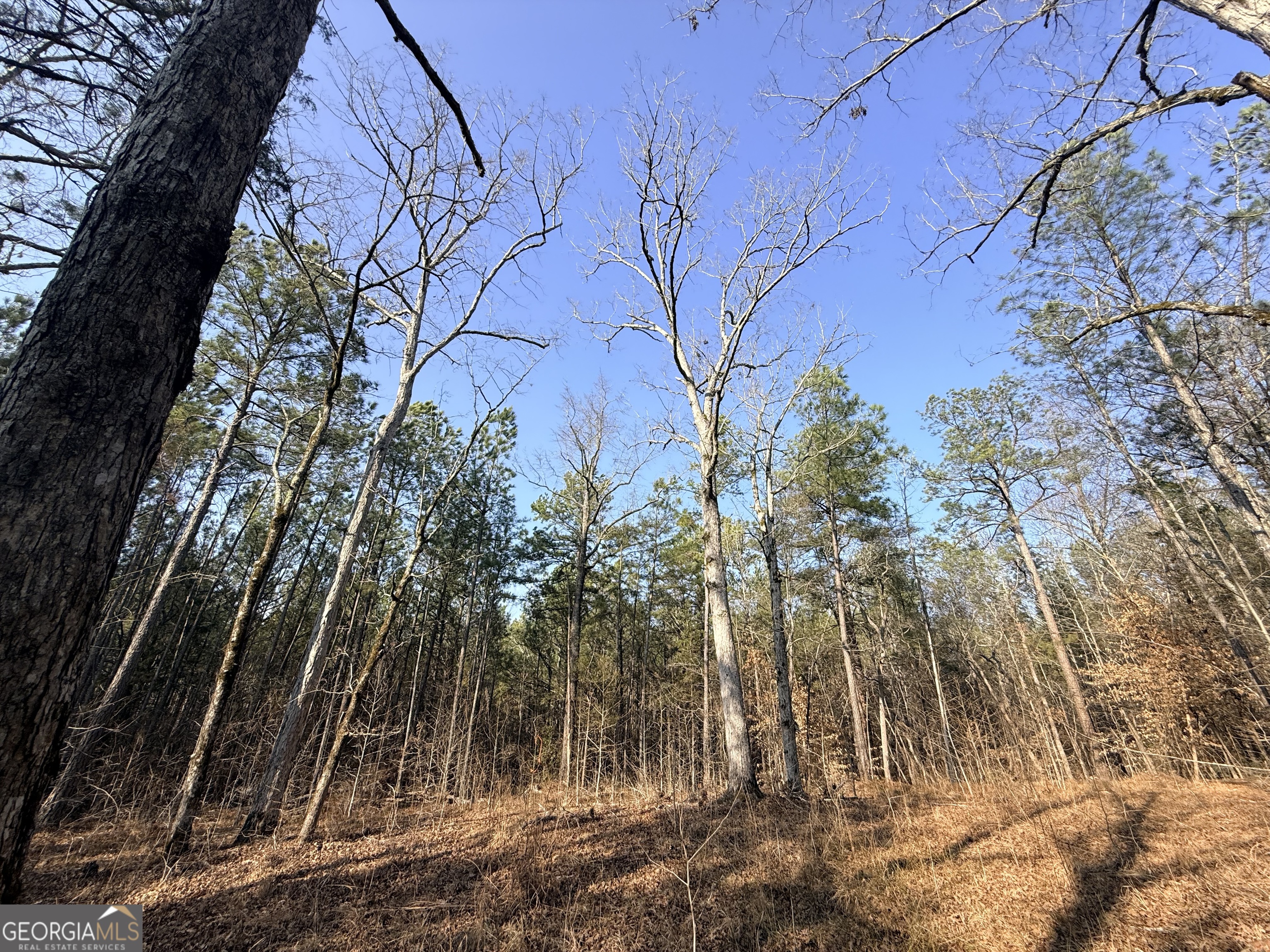 12 Cedar Creek Extension