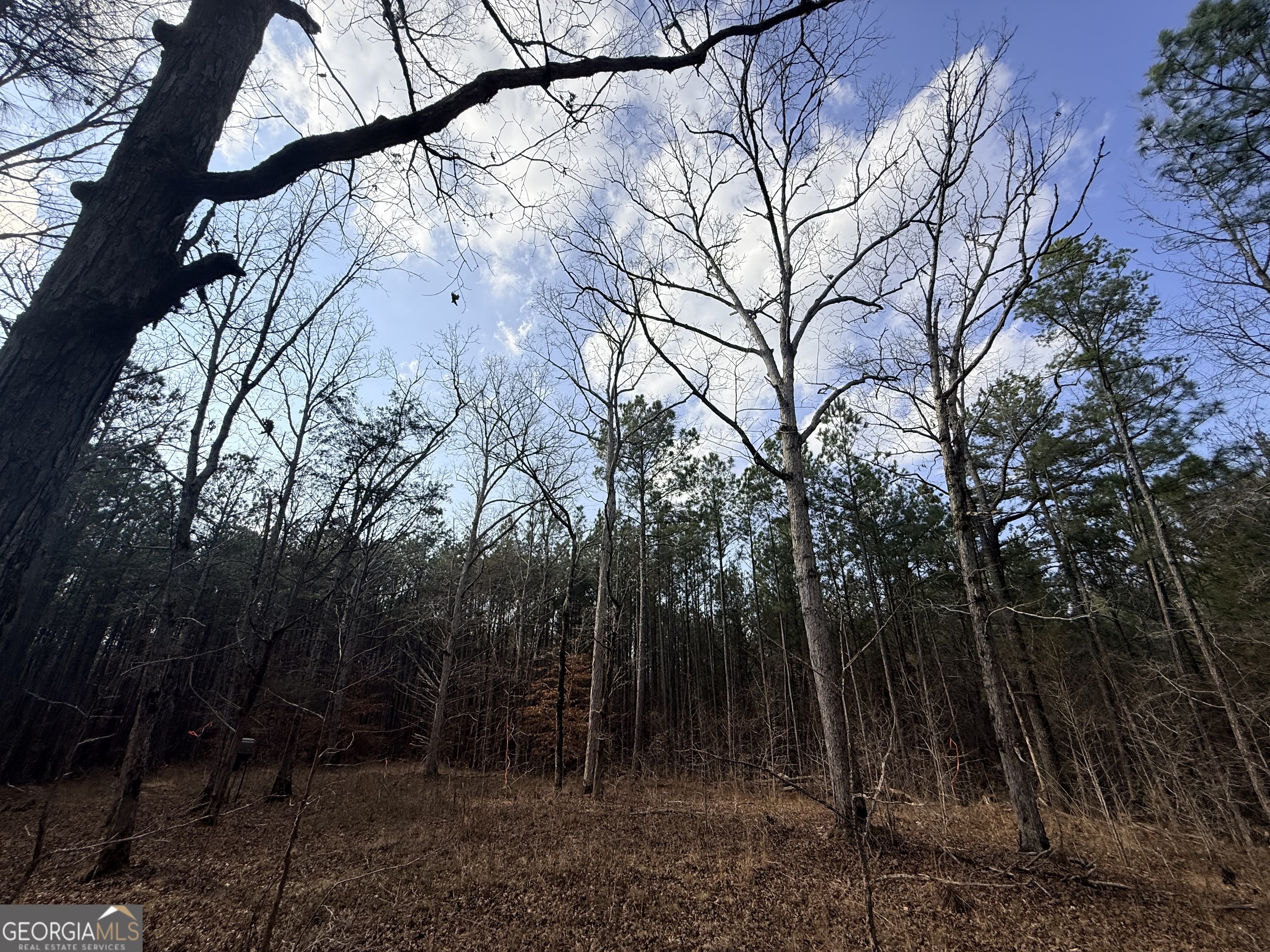 12 Cedar Creek Extension