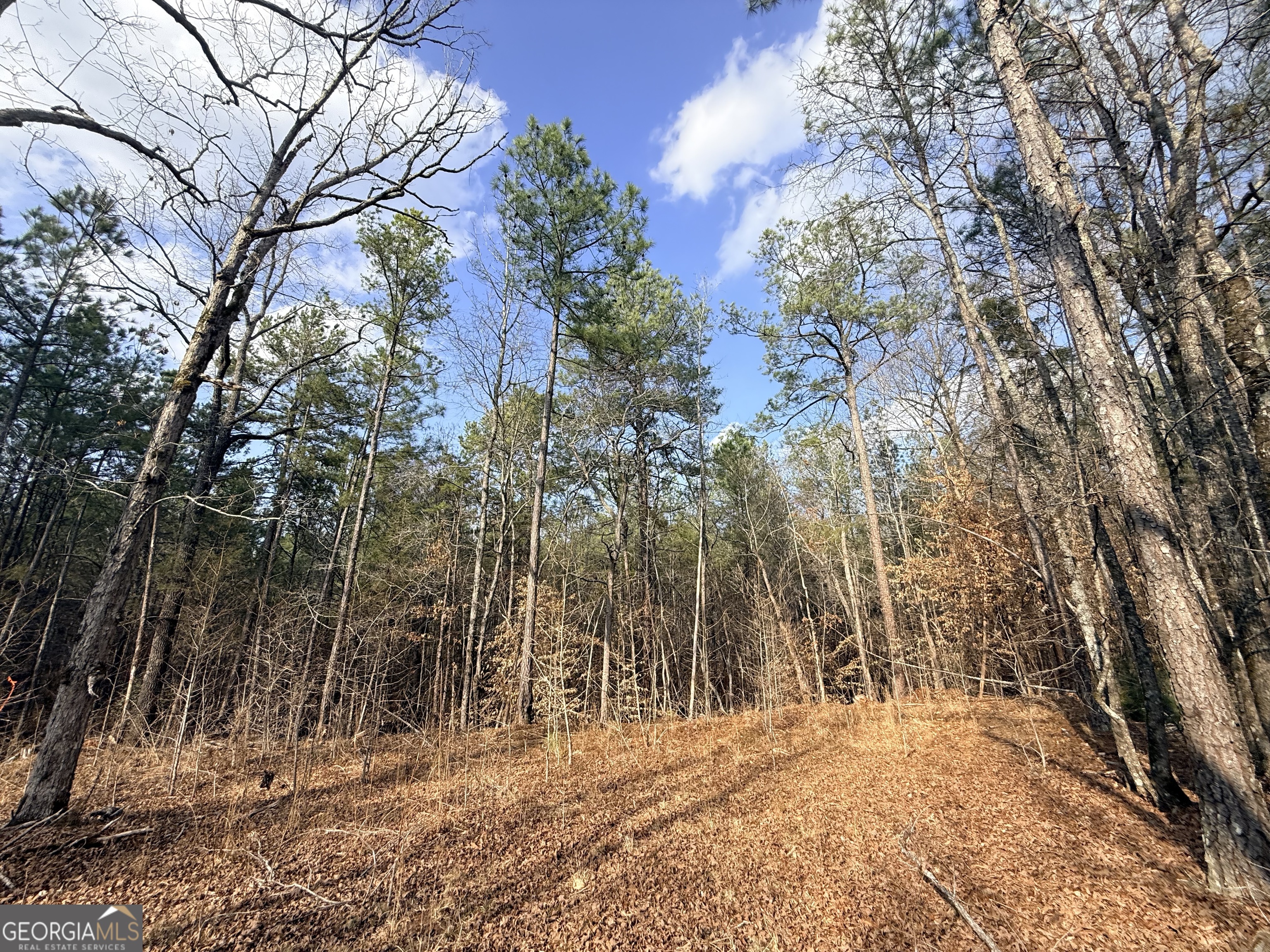 12 Cedar Creek Extension