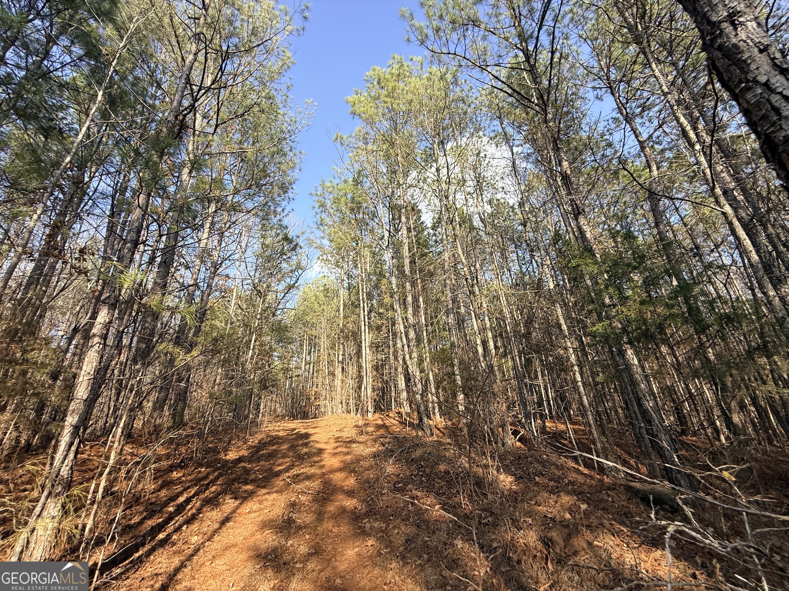 12 Cedar Creek Extension