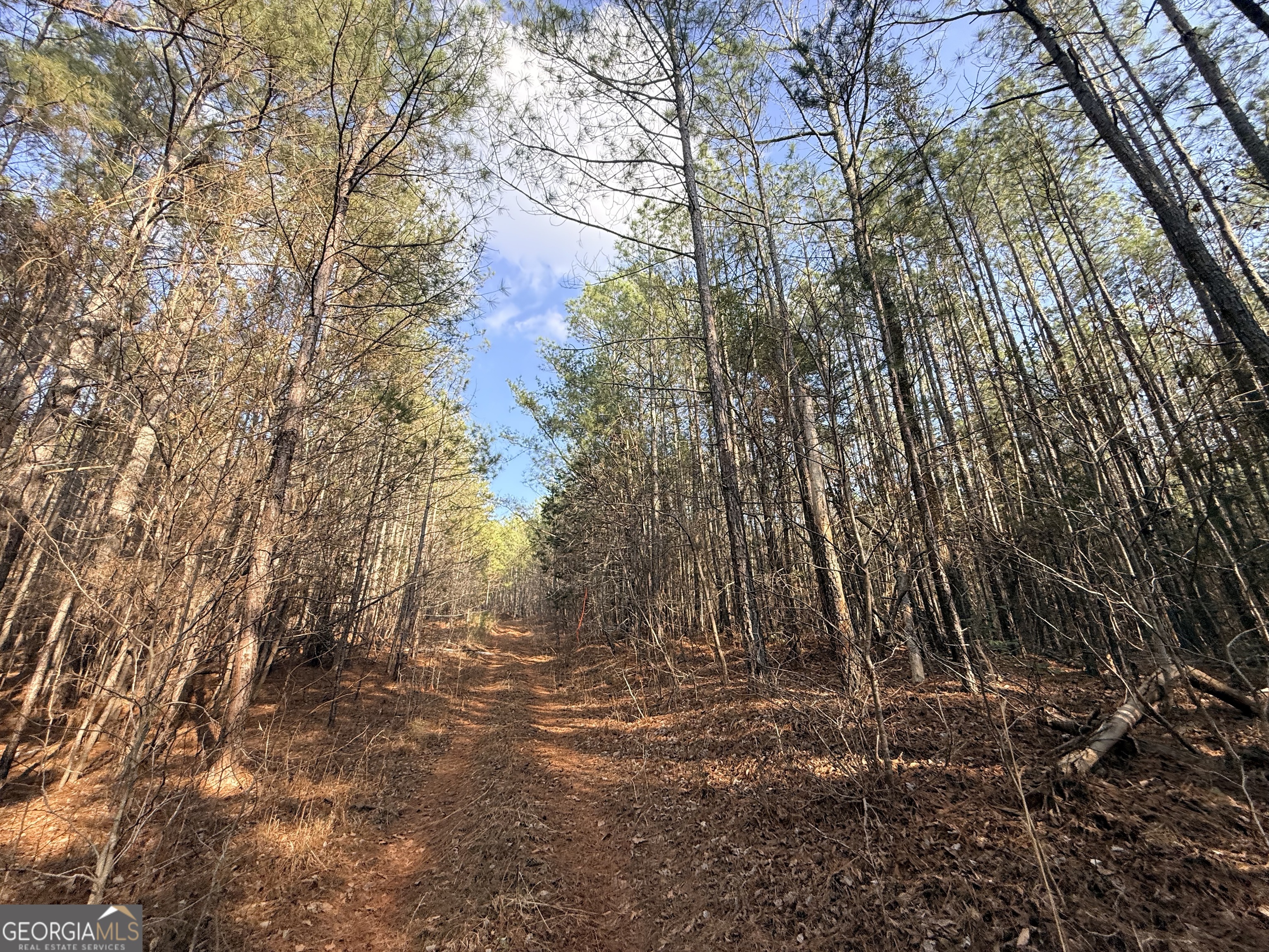12 Cedar Creek Extension