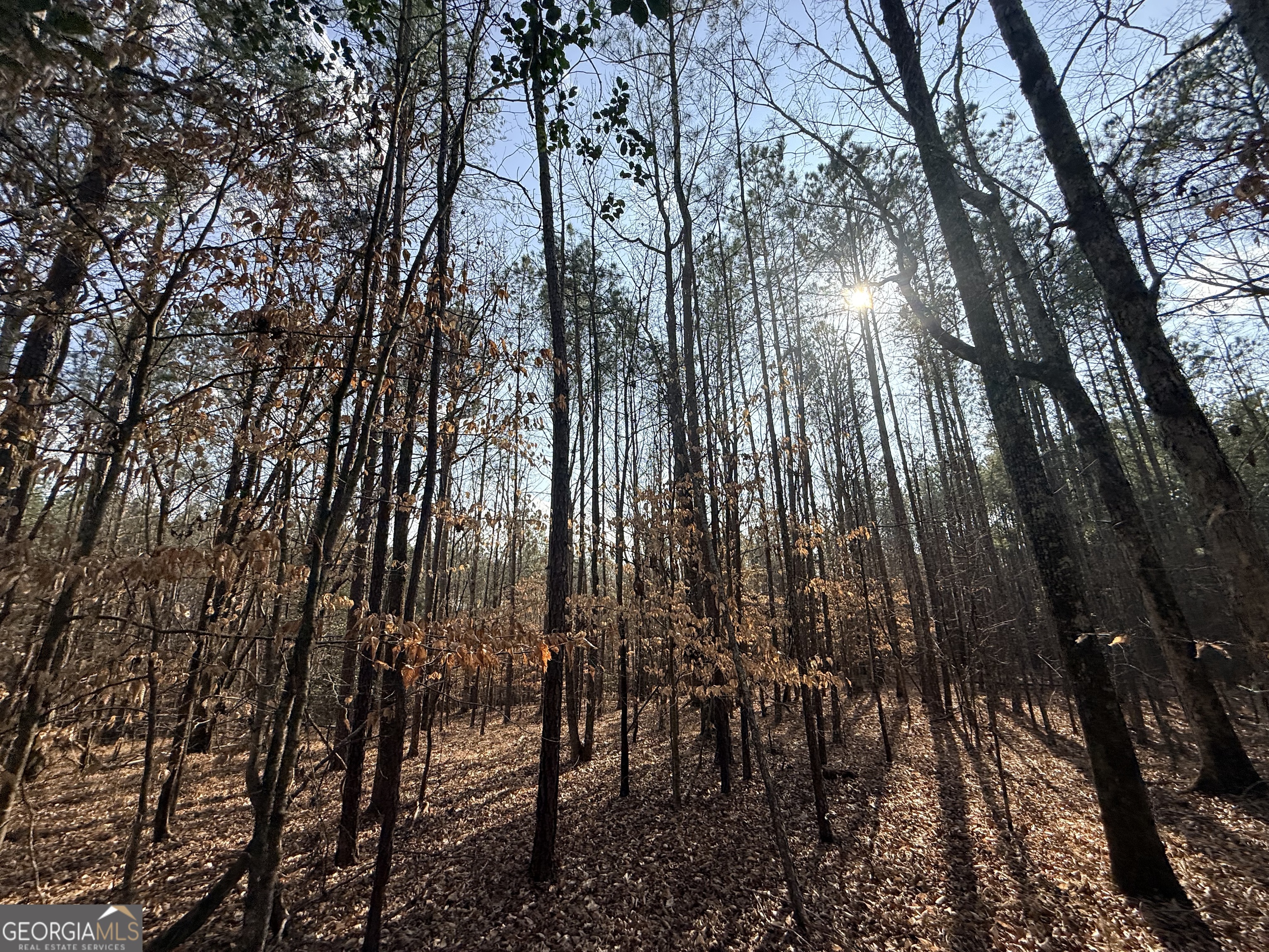 12 Cedar Creek Extension