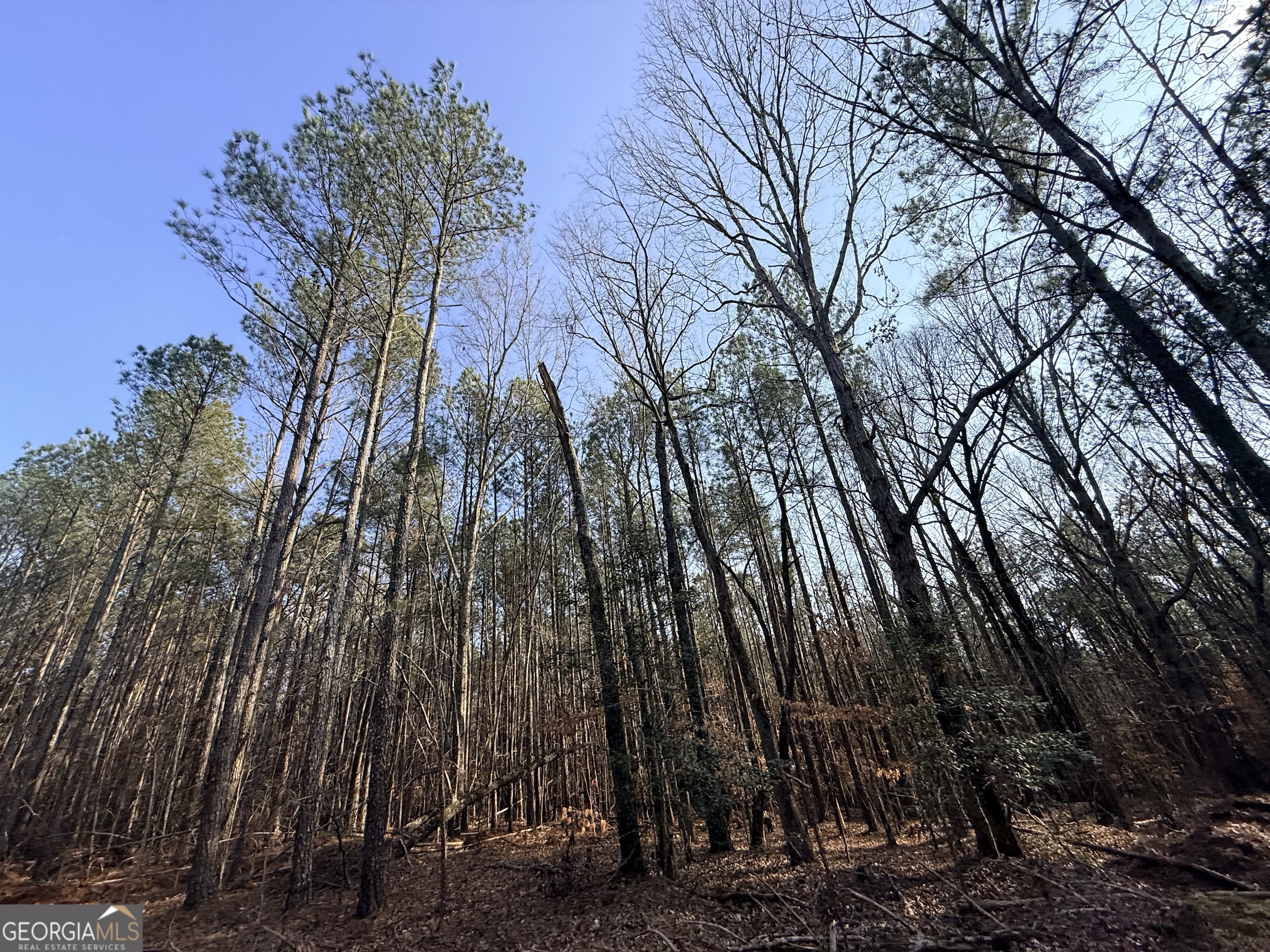 12 Cedar Creek Extension
