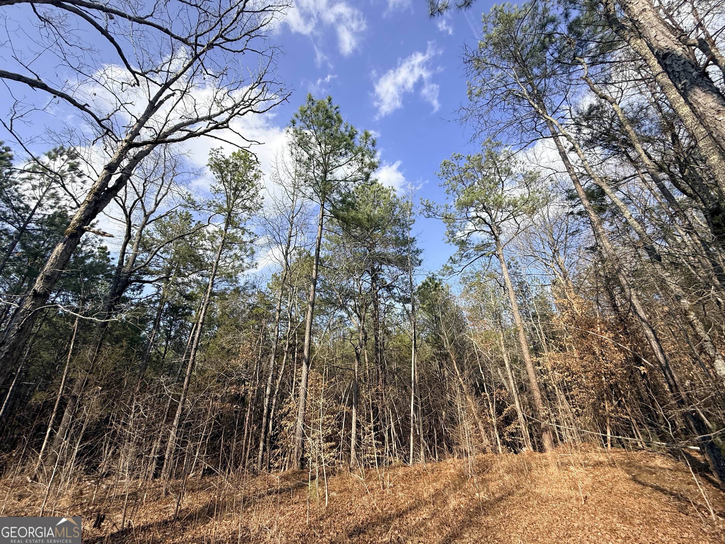 12 Cedar Creek Extension
