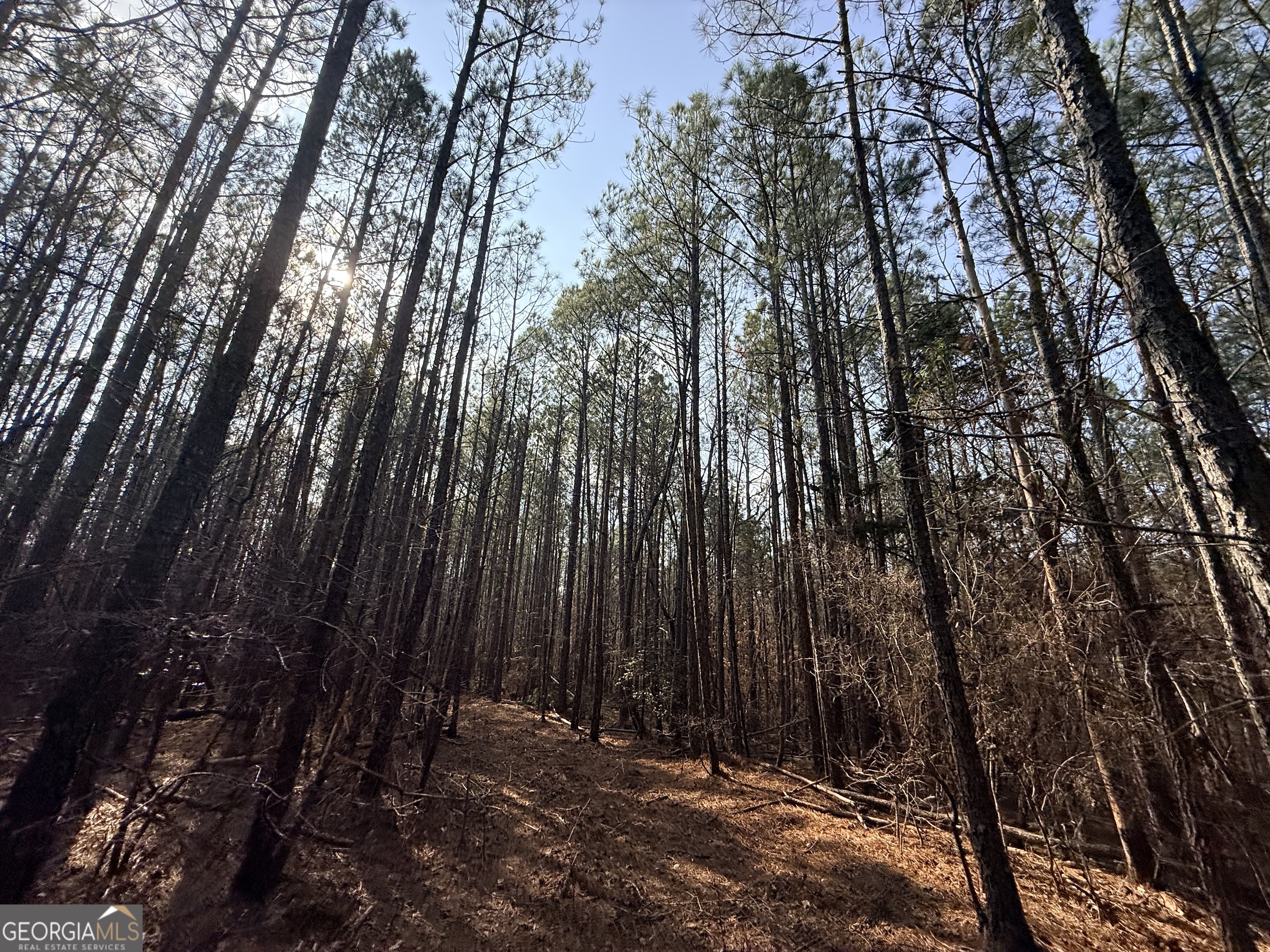 12 Cedar Creek Extension