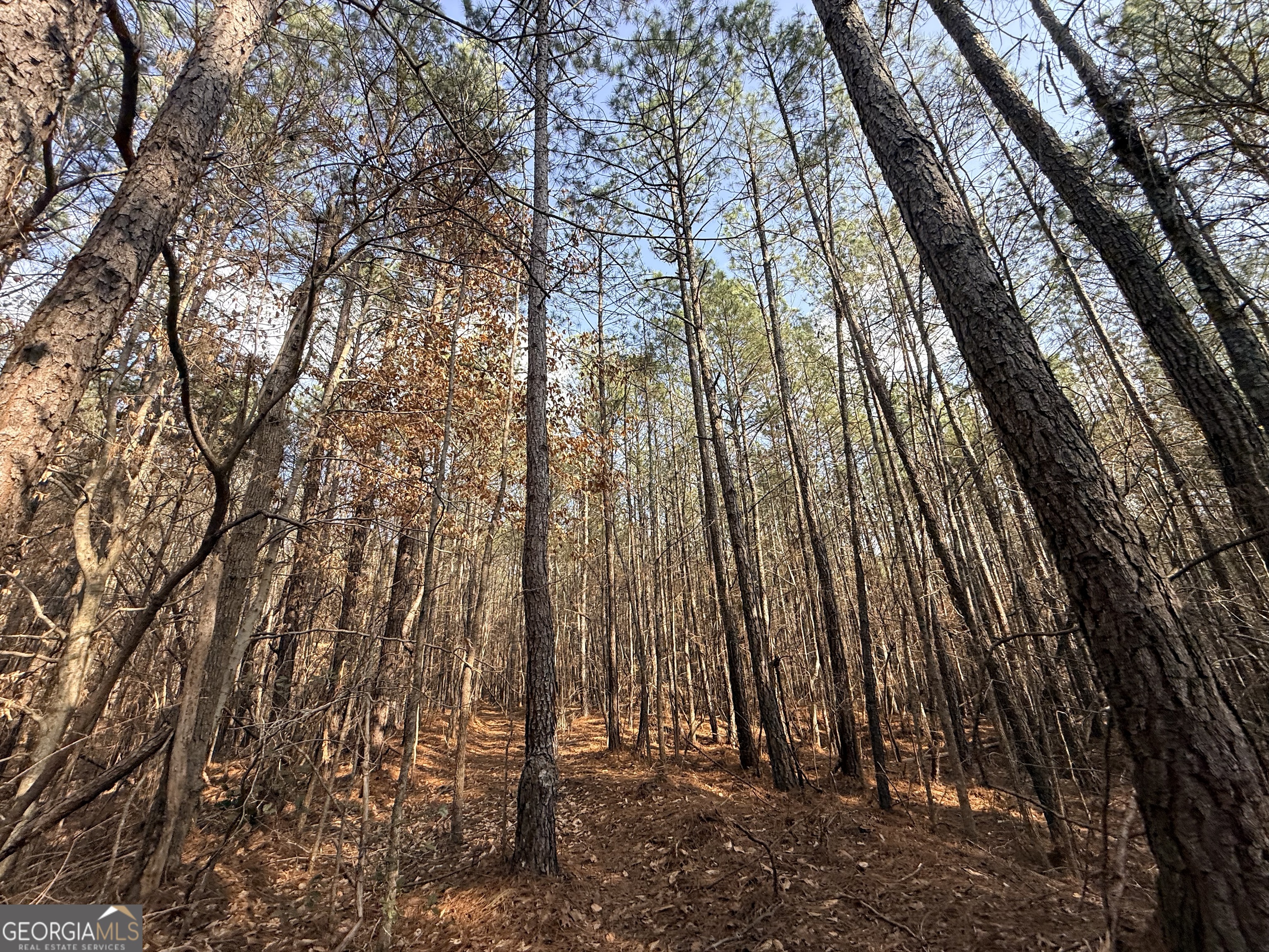 12 Cedar Creek Extension