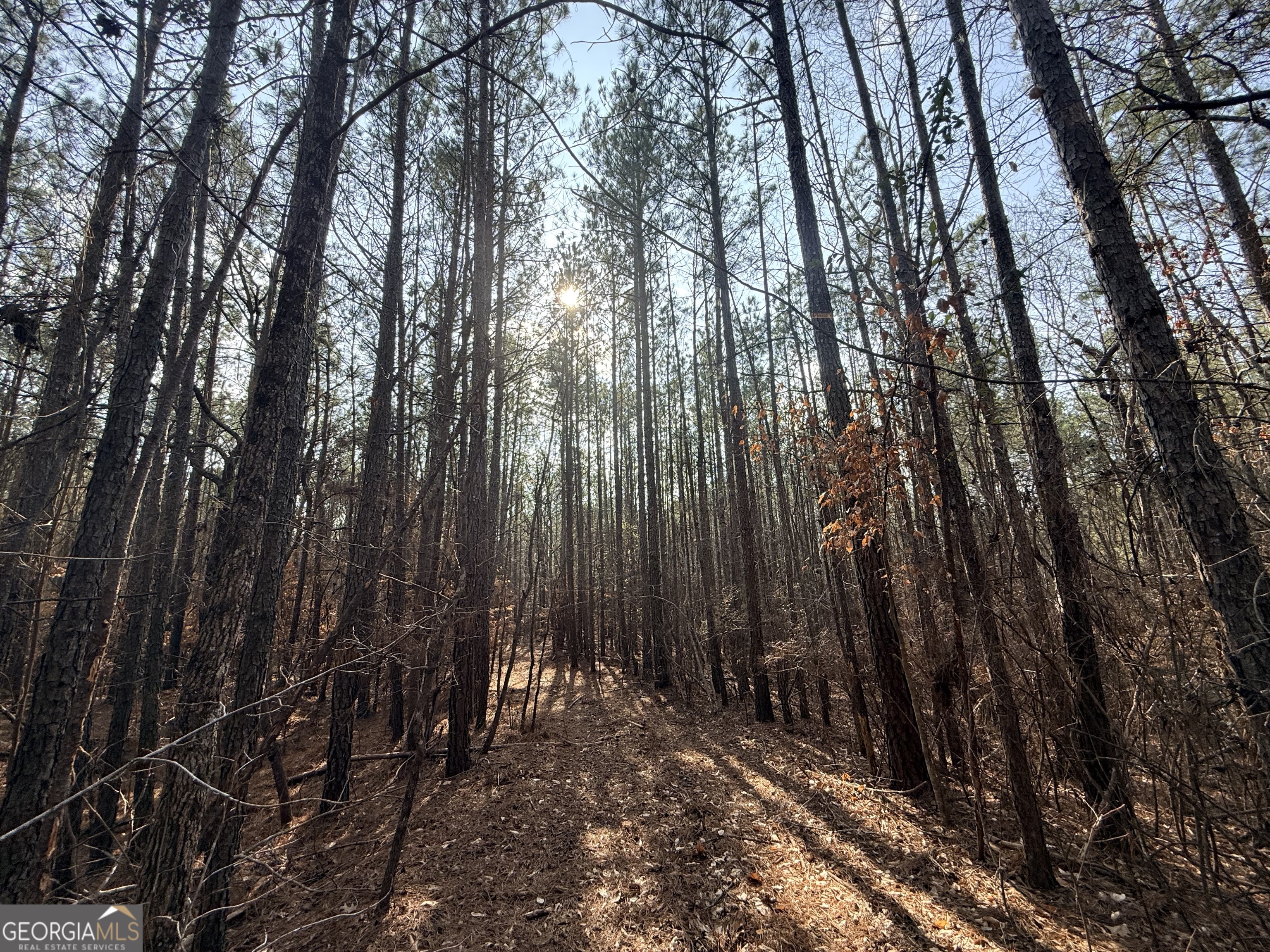 12 Cedar Creek Extension