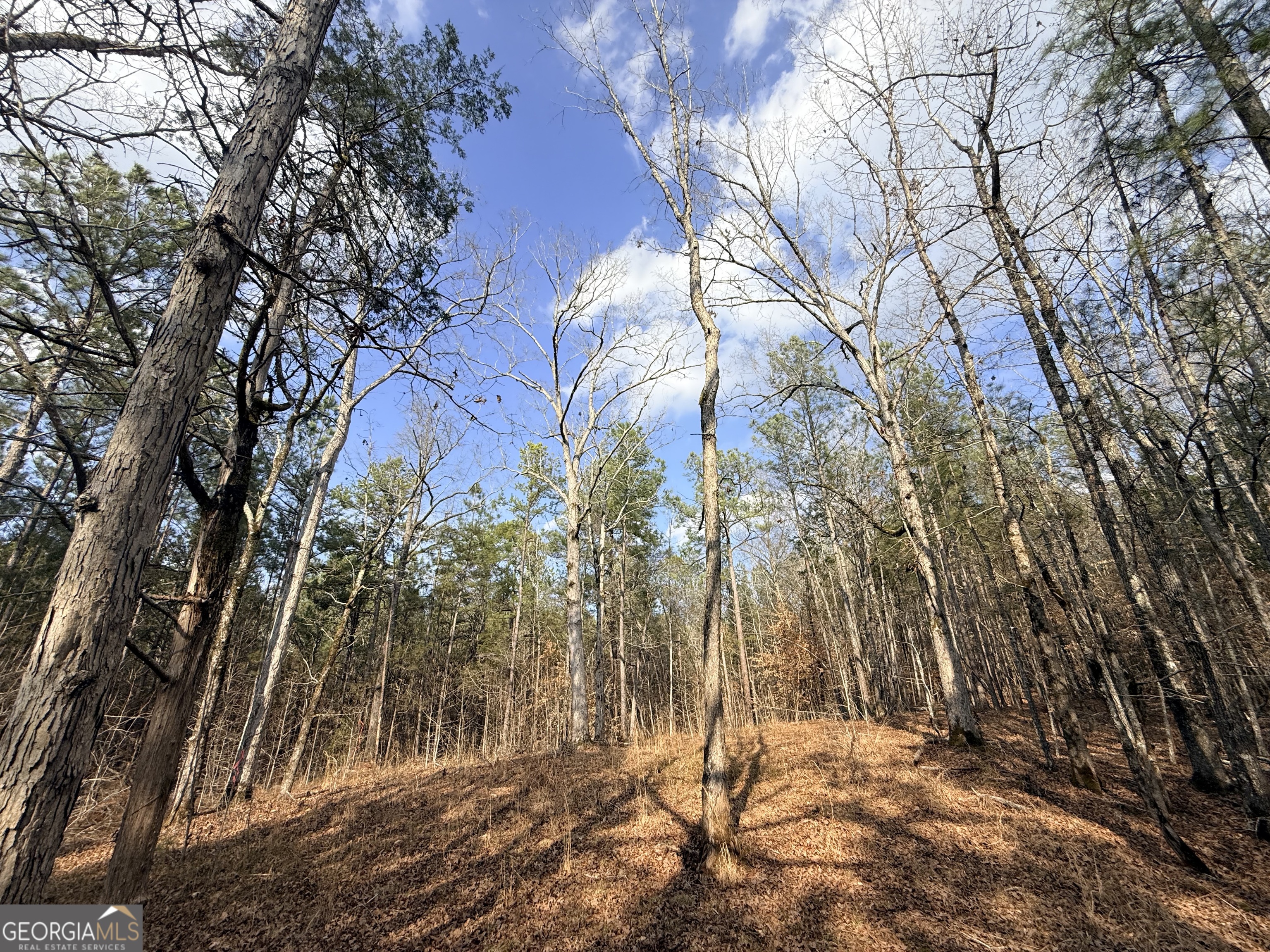 12 Cedar Creek Extension