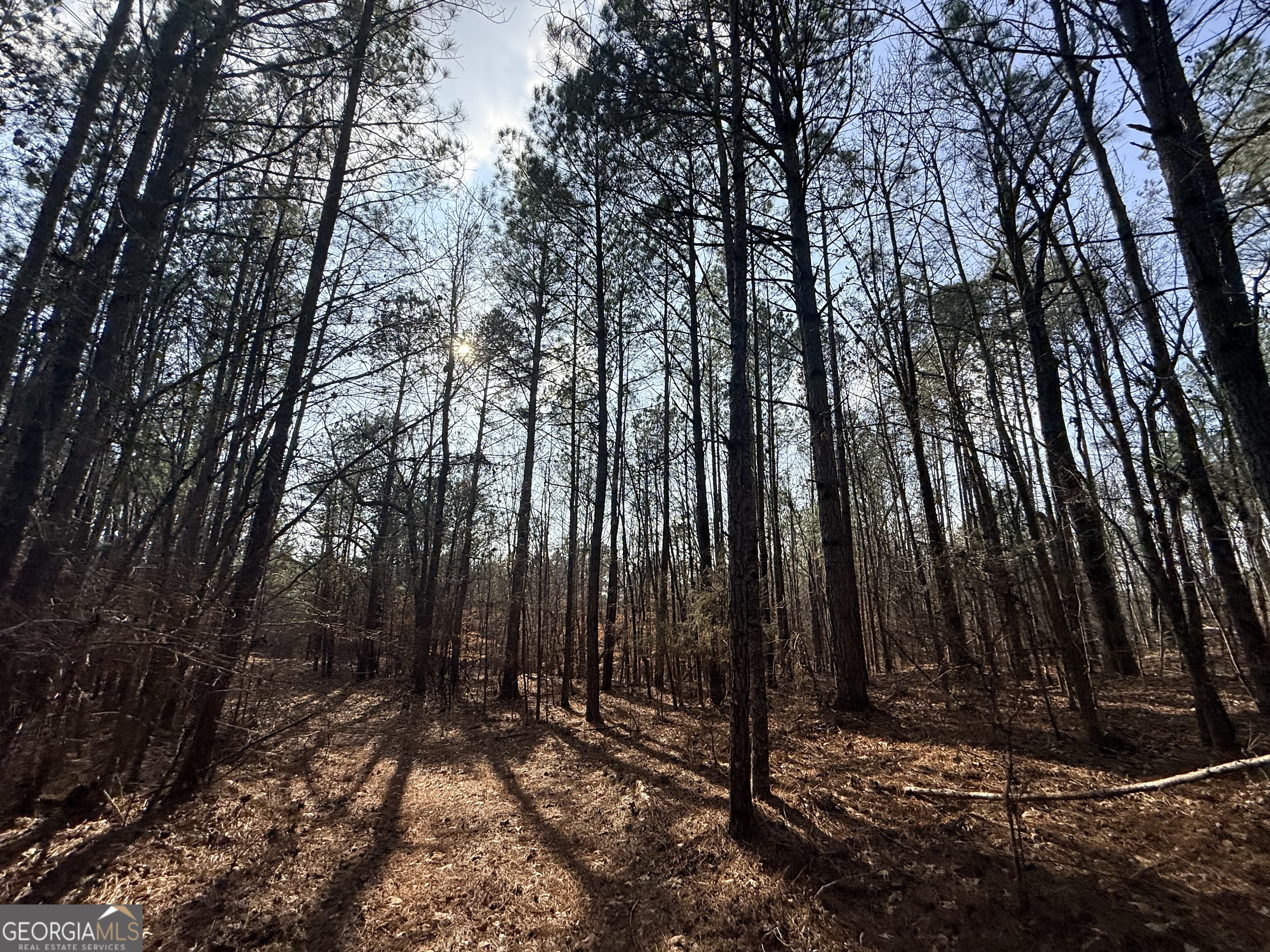 12 Cedar Creek Extension