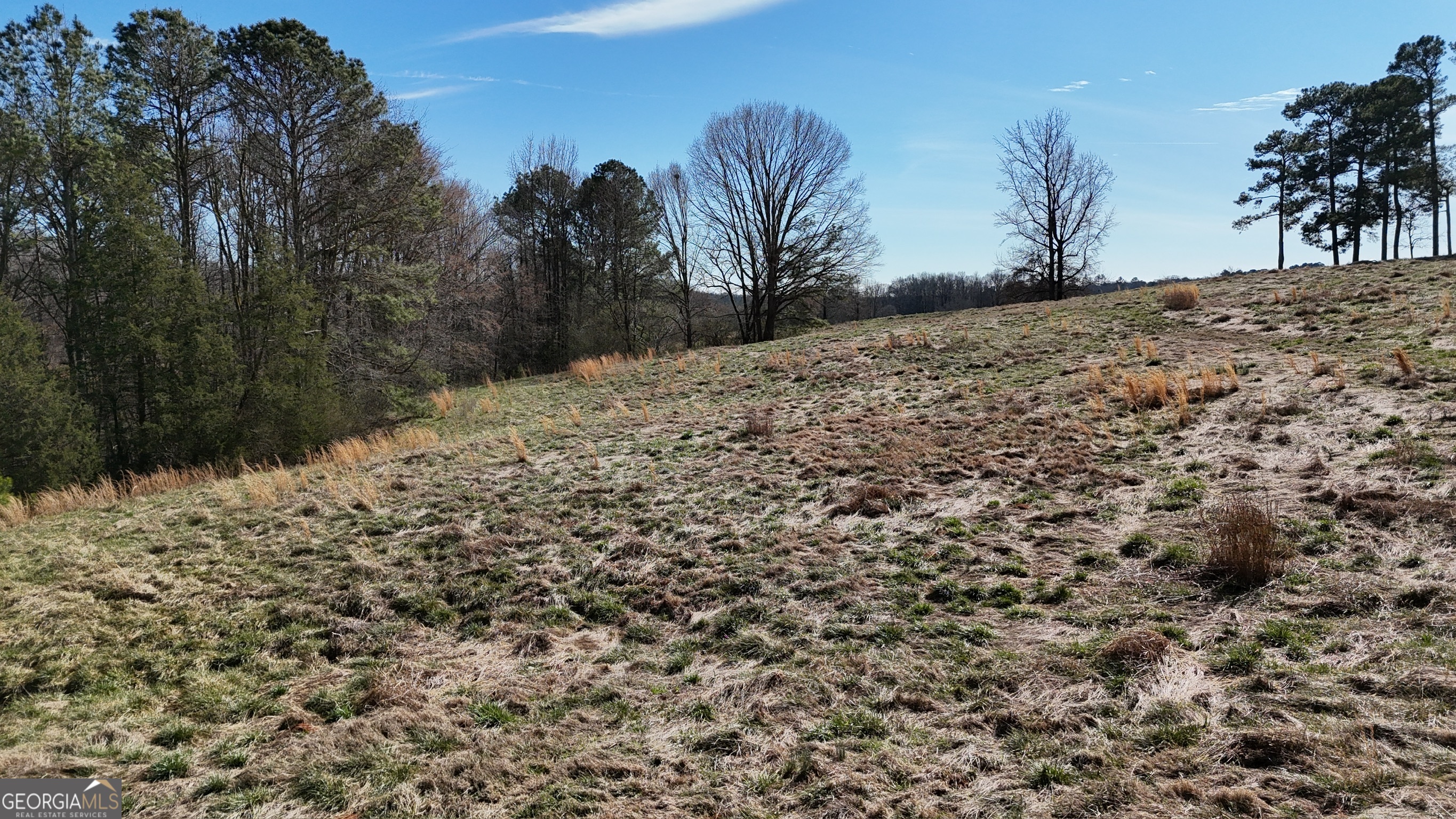 21 Jess Lane