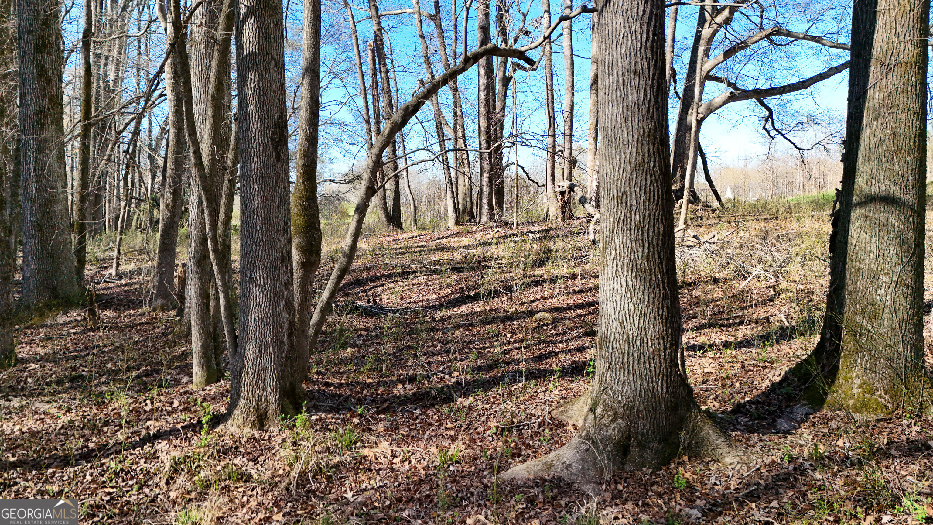 40 Meadow Trail