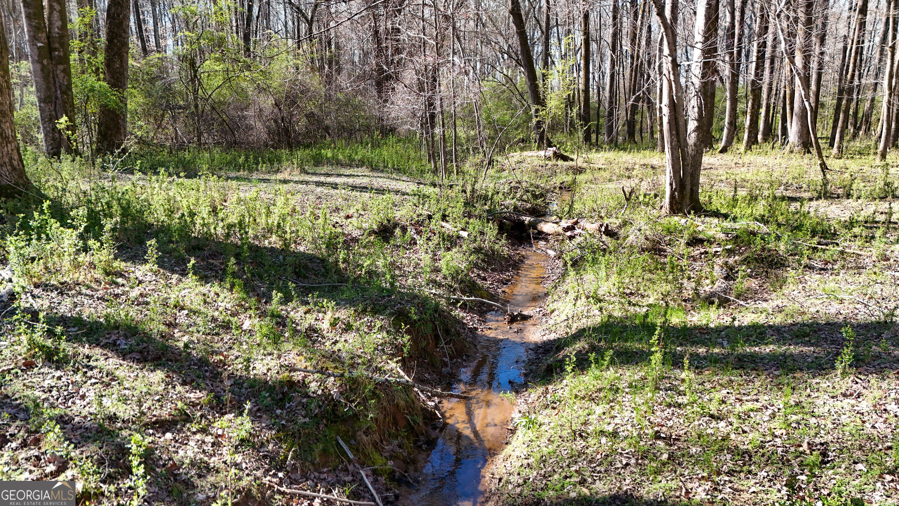 40 Meadow Trail