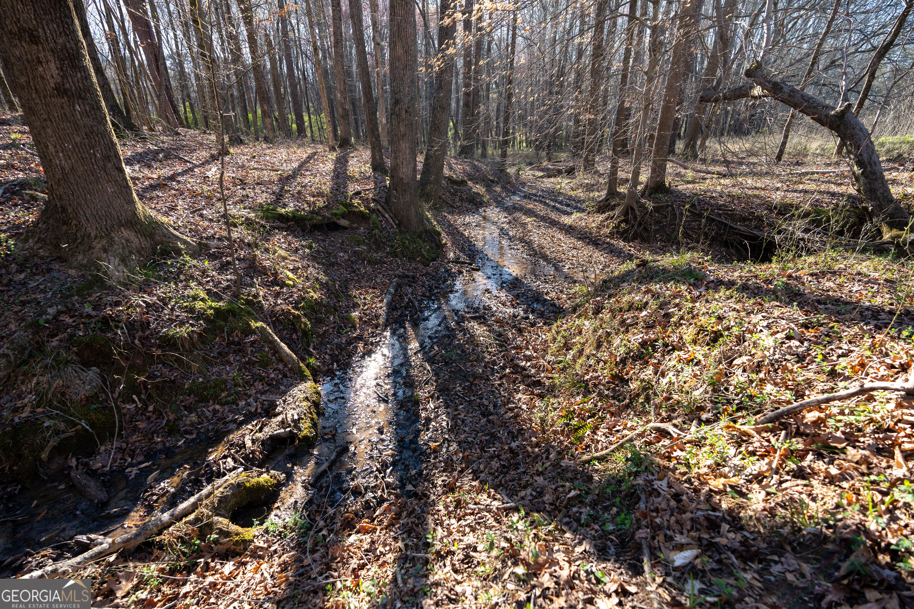 40 Meadow Trail