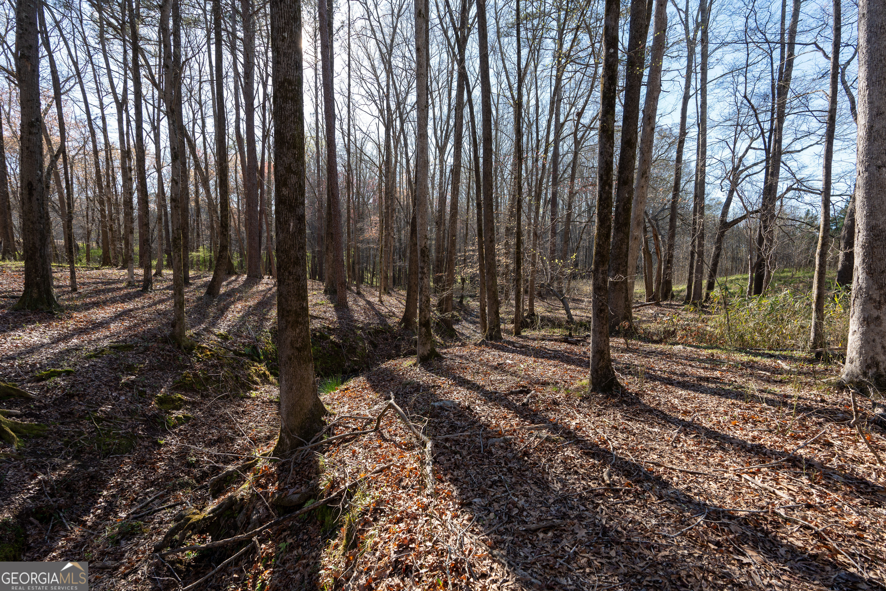 40 Meadow Trail